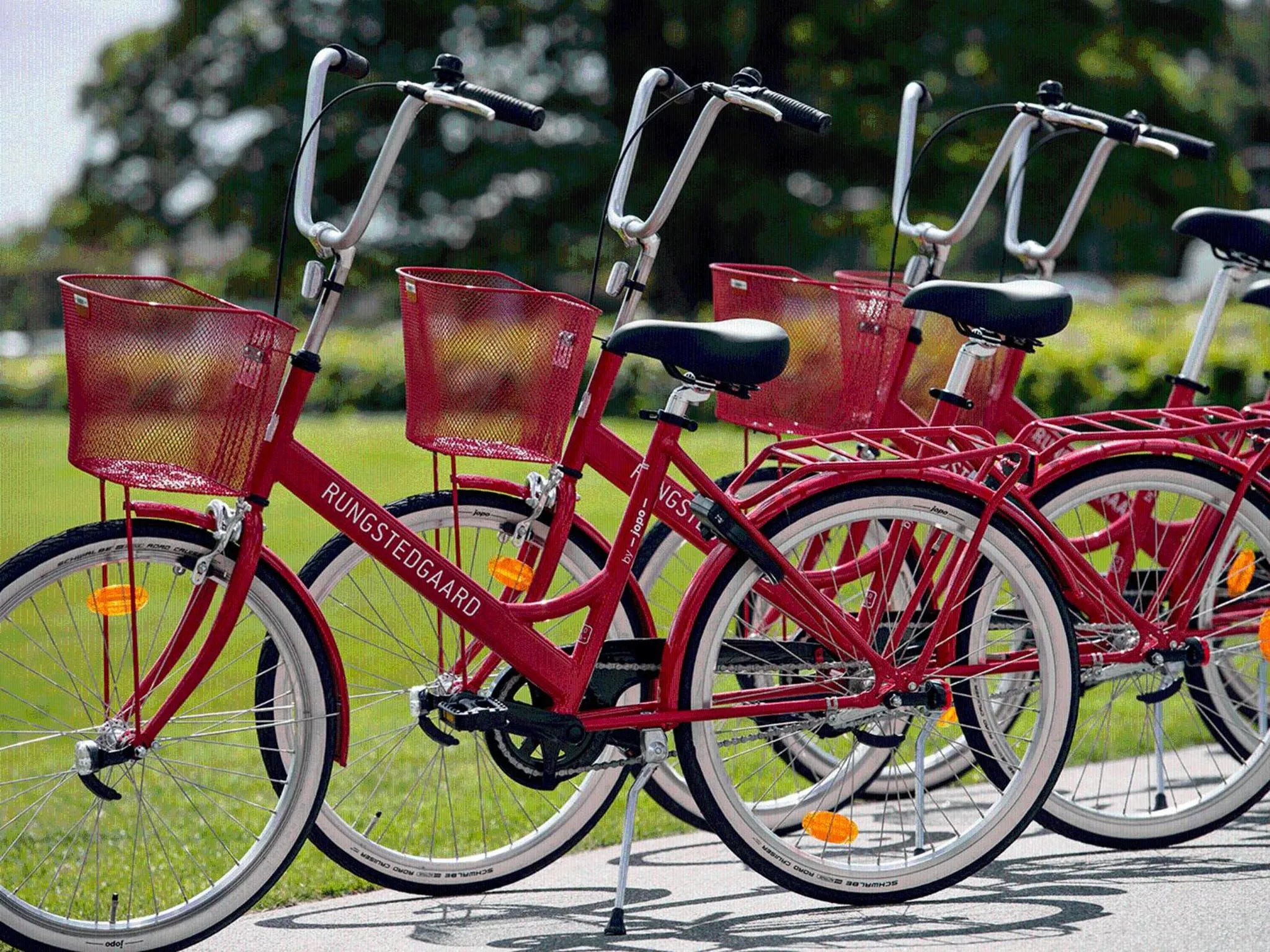 Cycling in Rungstedgaard