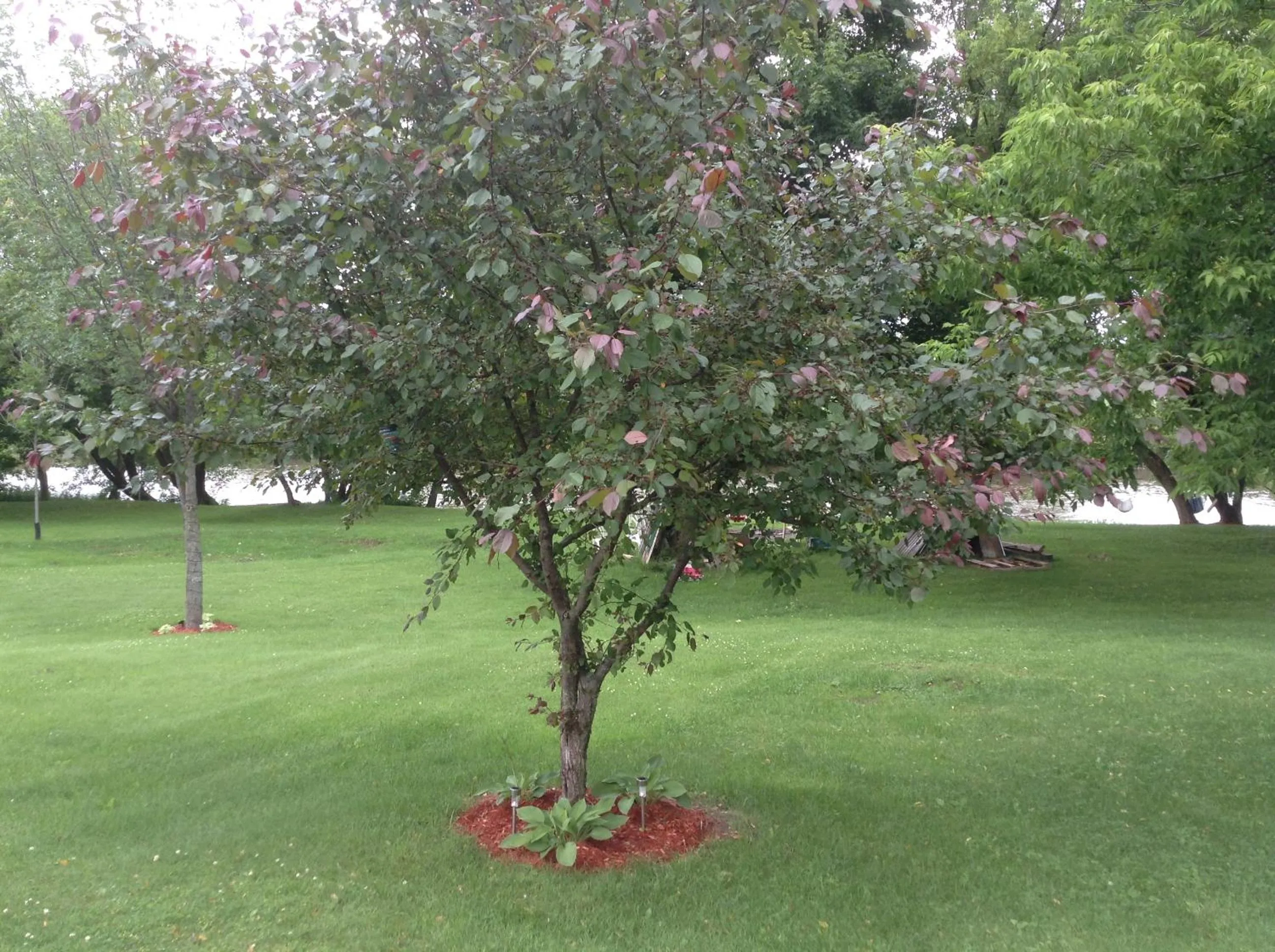 Natural landscape in La Maison des Éboulis