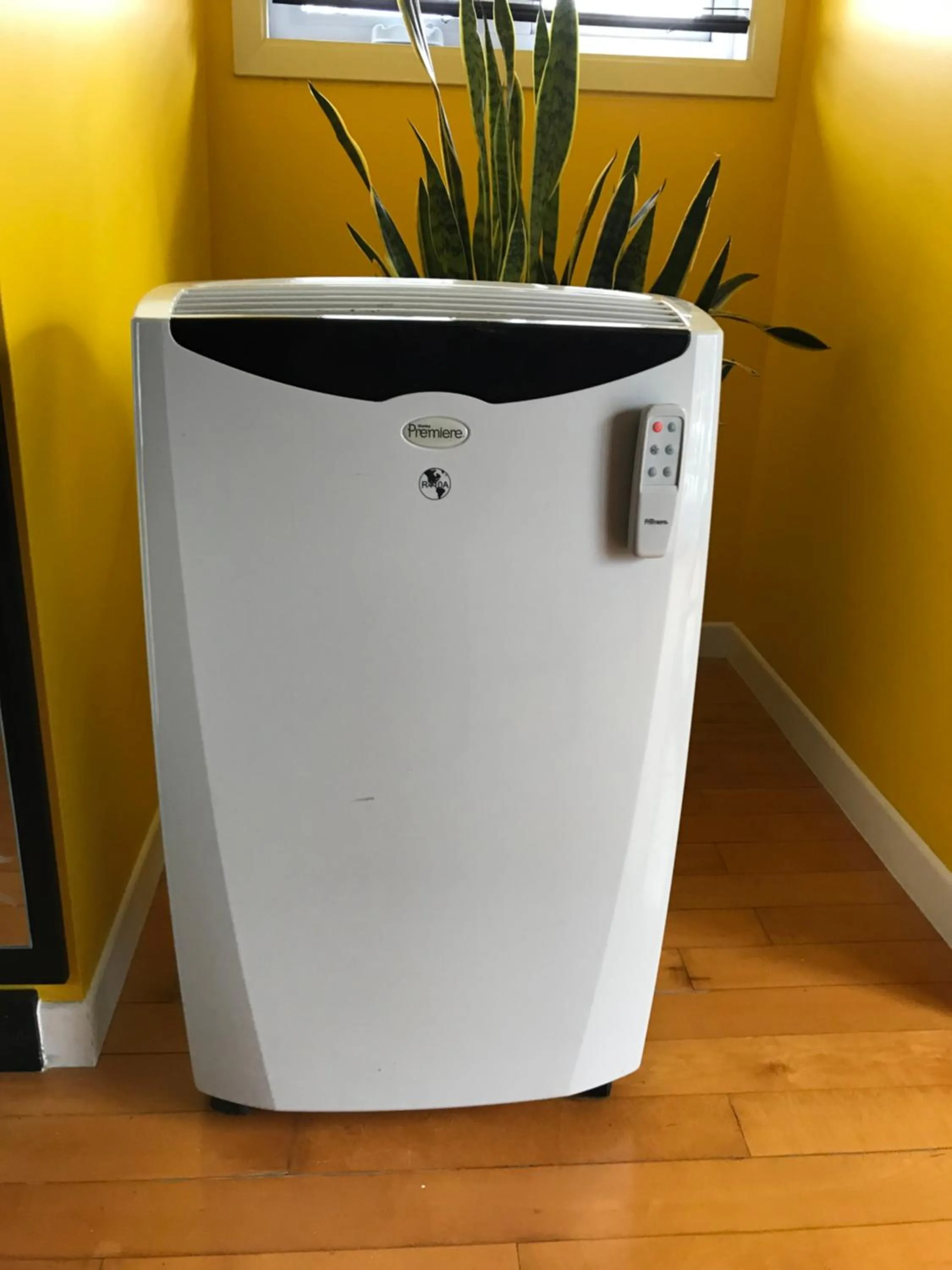 Decorative detail in La Maison des Éboulis