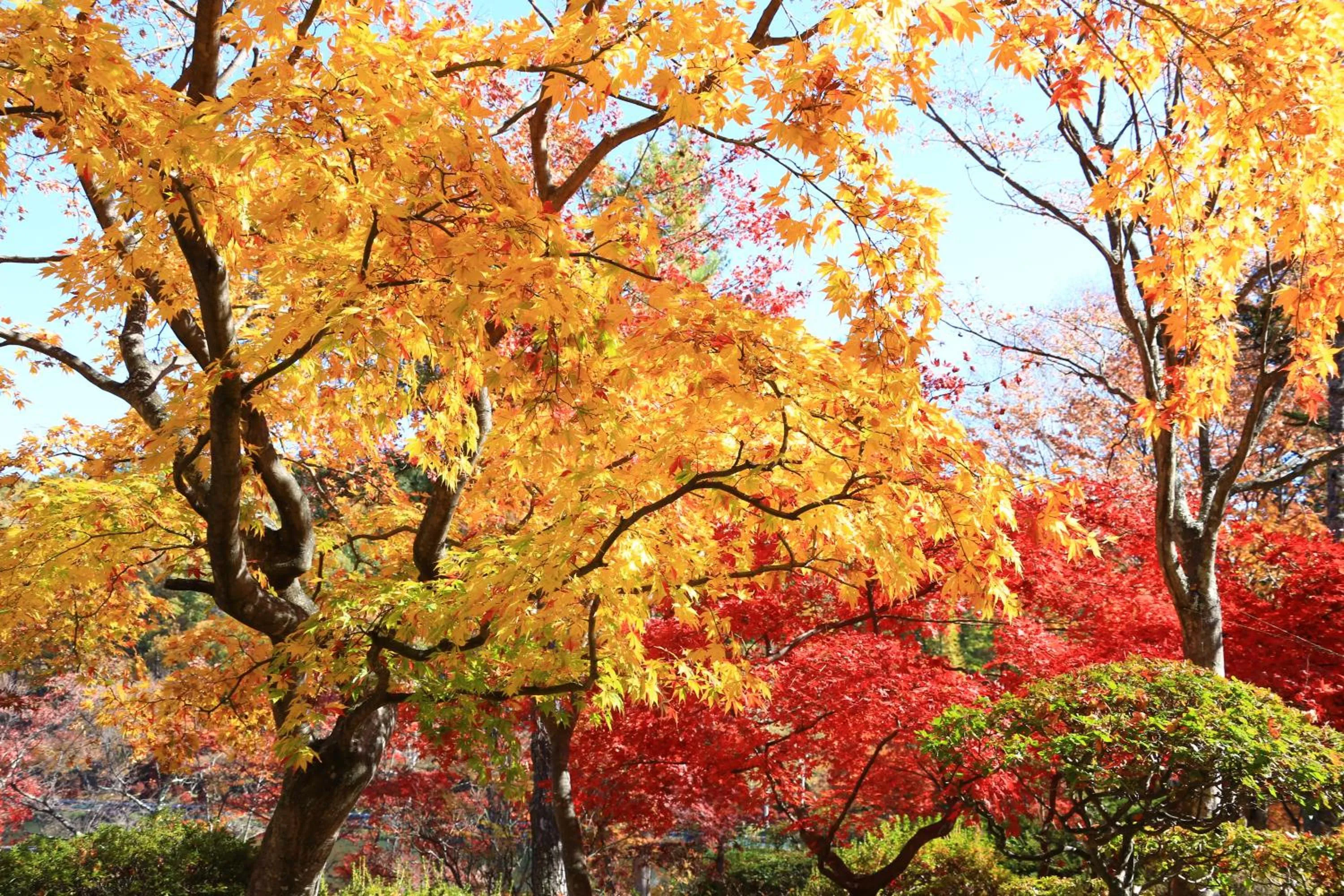 Autumn in Hotel Andermatt
