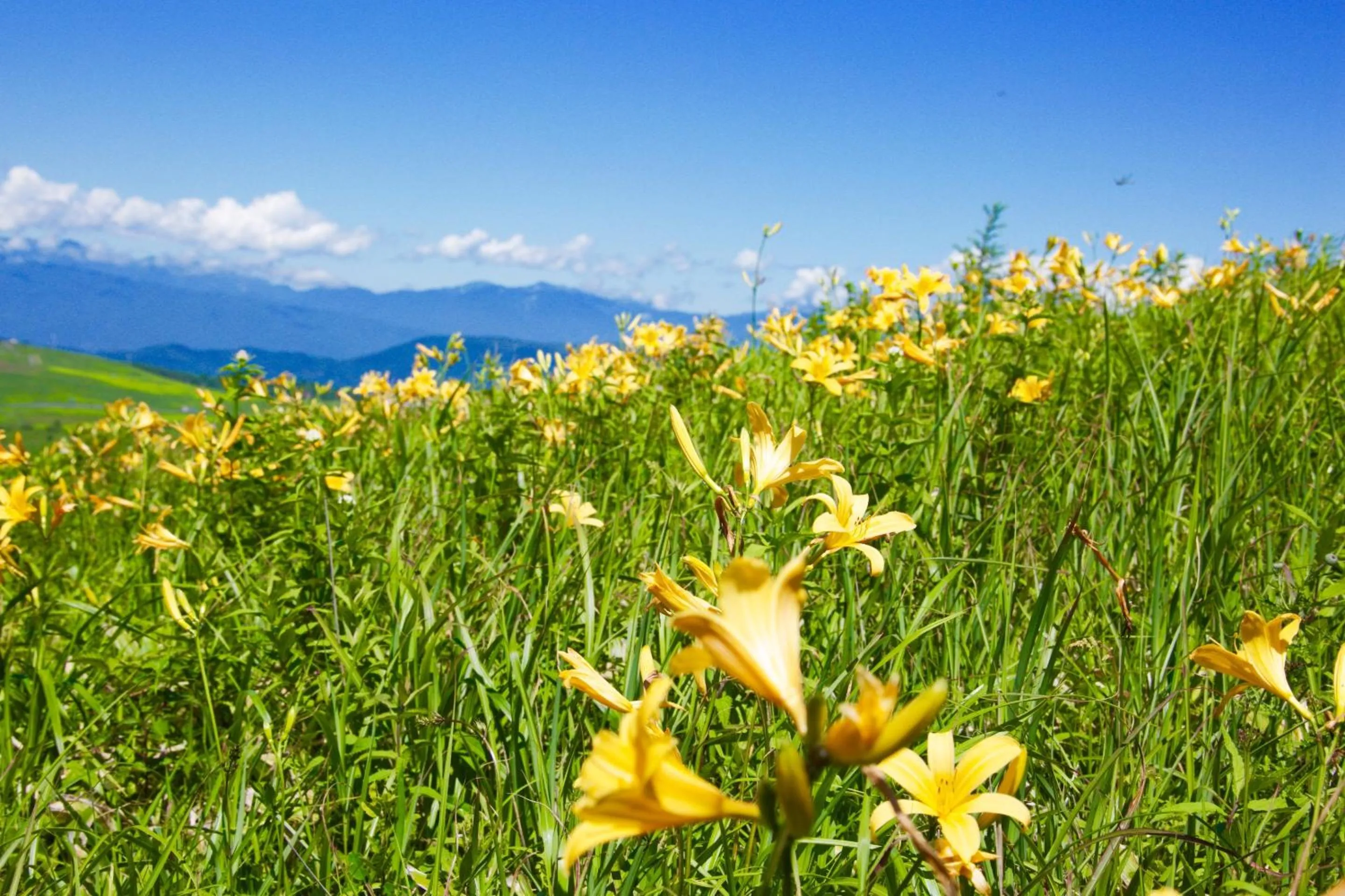 Nearby landmark in Hotel Andermatt