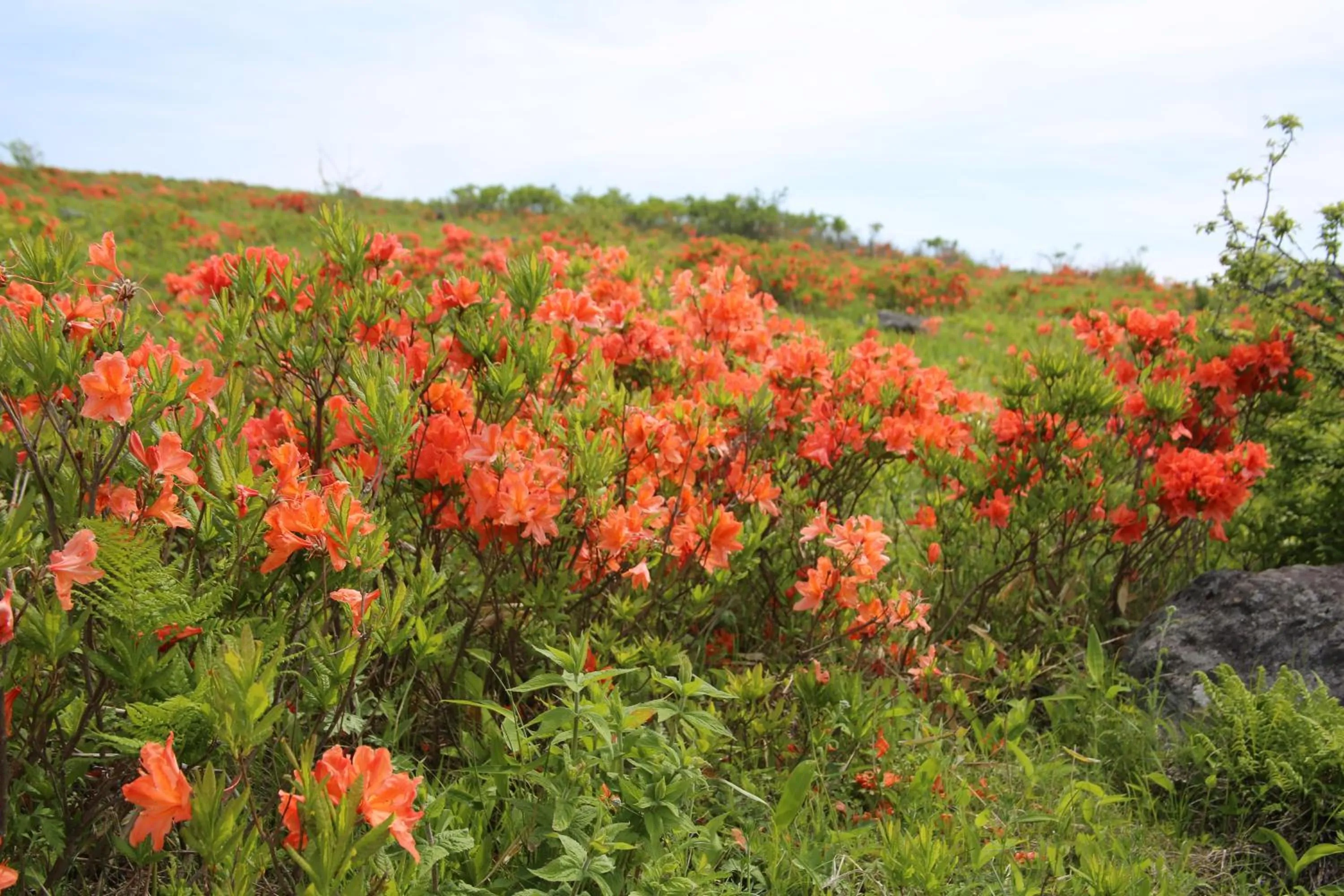Nearby landmark in Hotel Andermatt