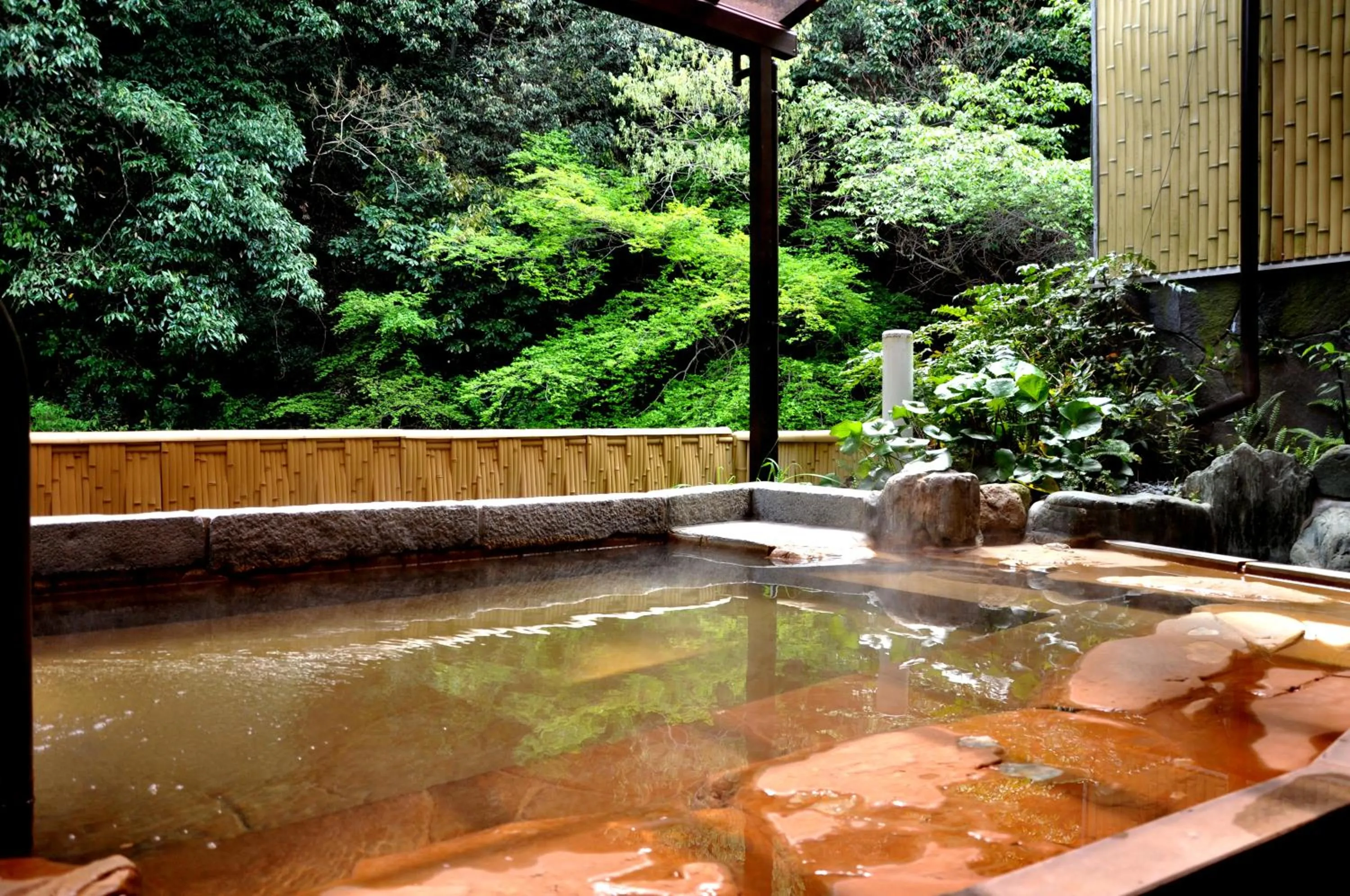Hot Spring Bath in Okumizuma Onsen