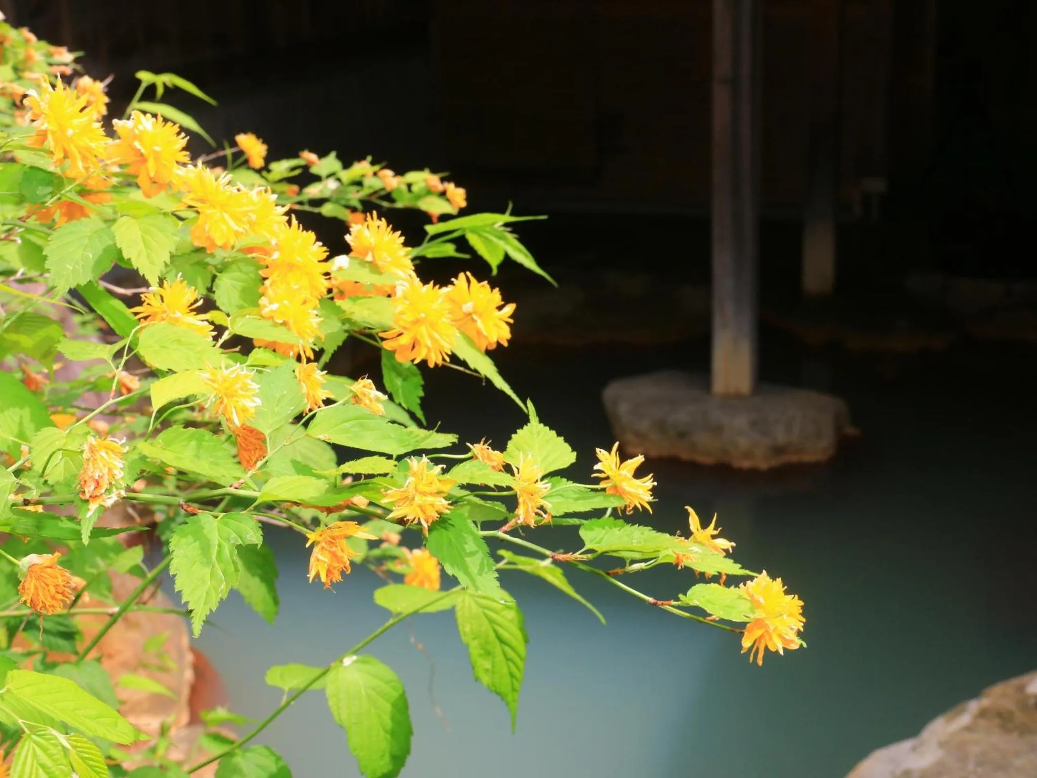 Summer in Yunohirakan