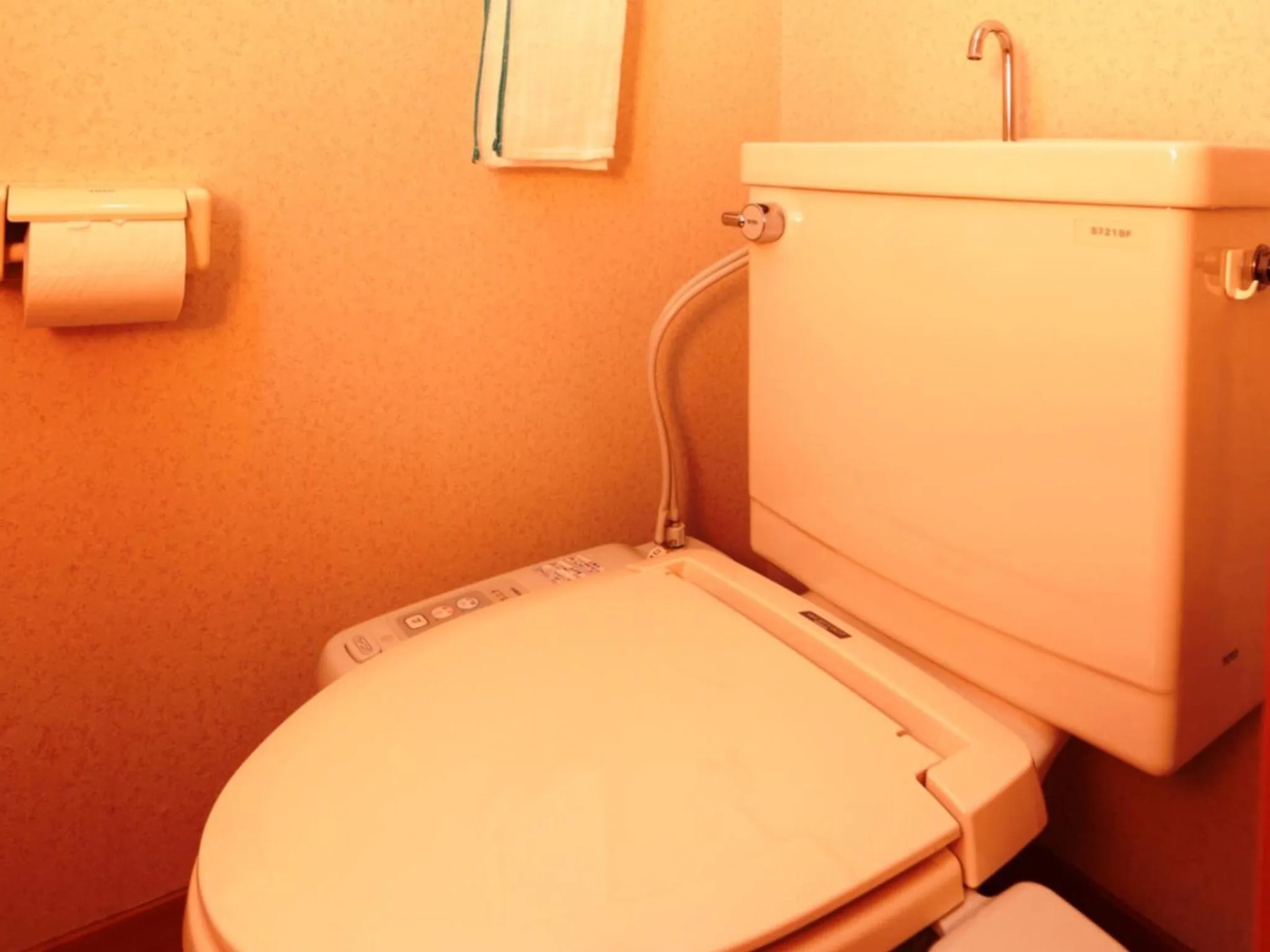 Toilet in Yunohirakan