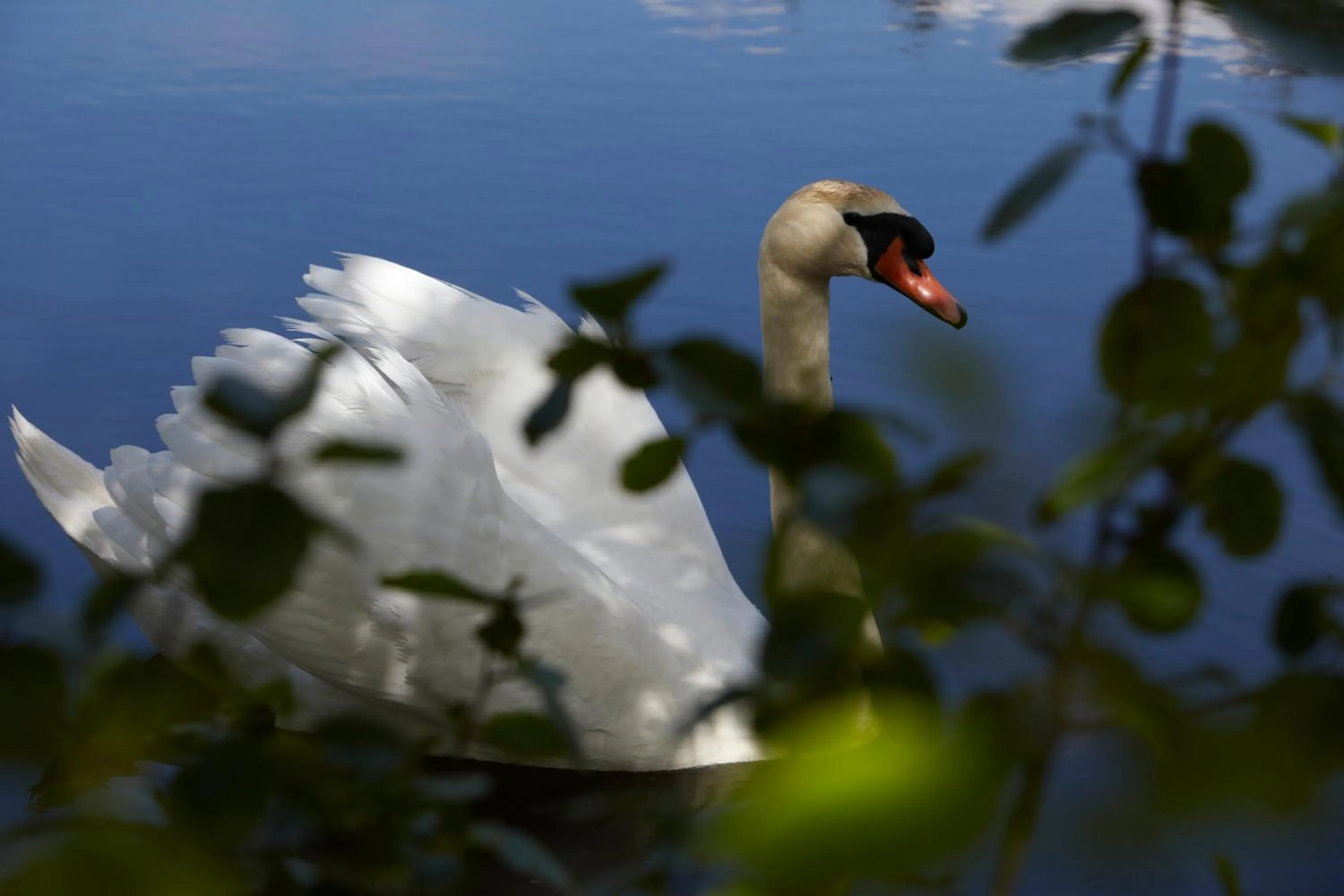 Area and facilities in Haraldskær Sinatur Hotel & Konference