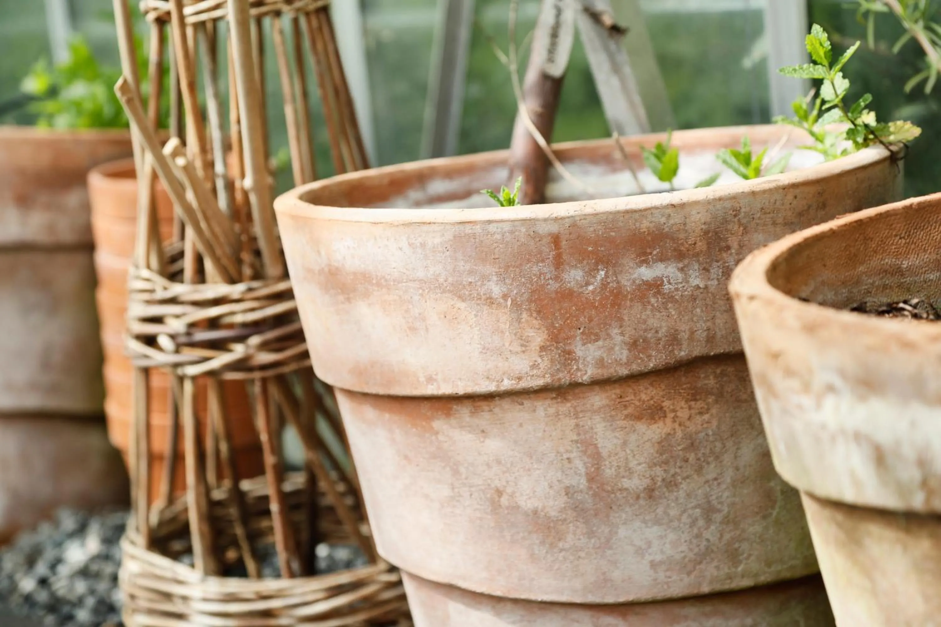 Garden in Gl Skovridergaard