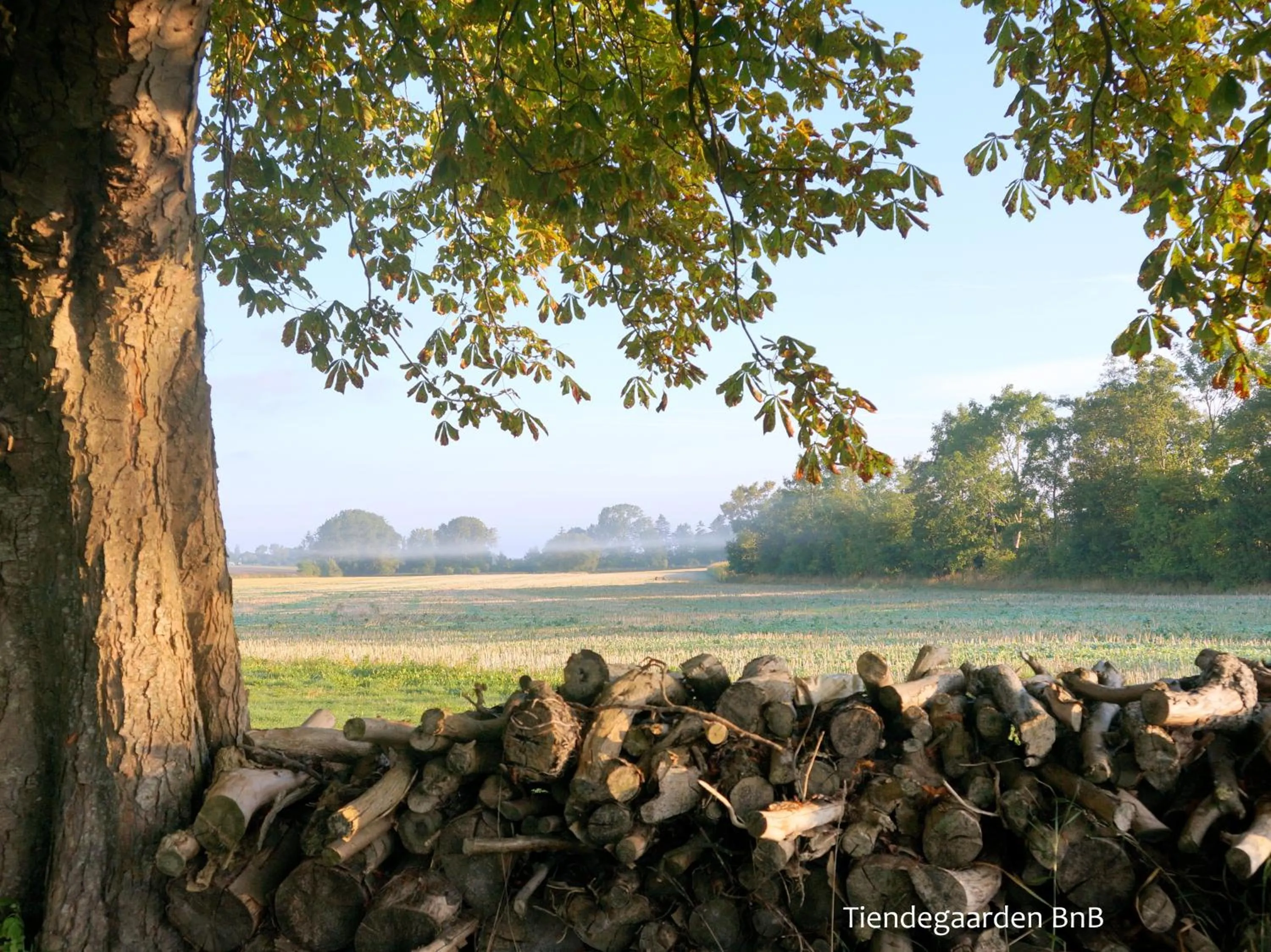 View (from property/room) in Tiendegaarden Møns Klint