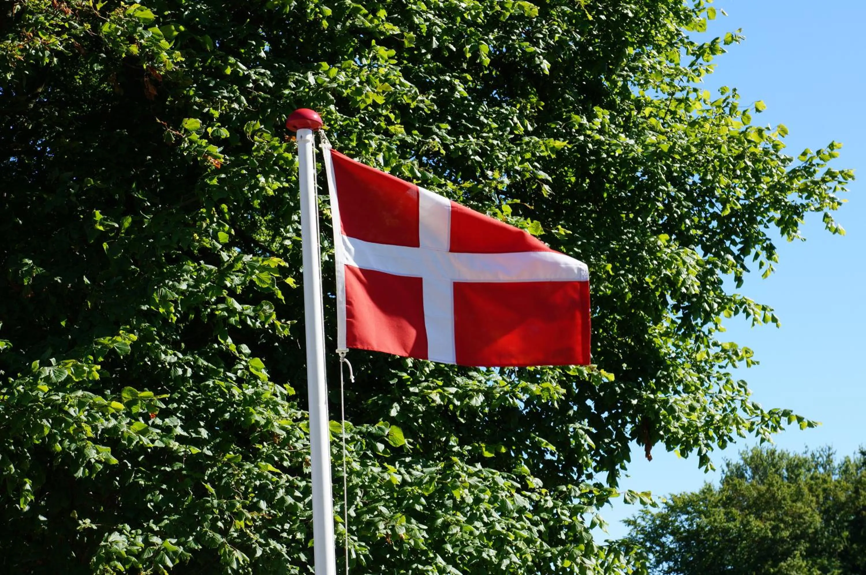 Garden in Tiendegaarden Møns Klint