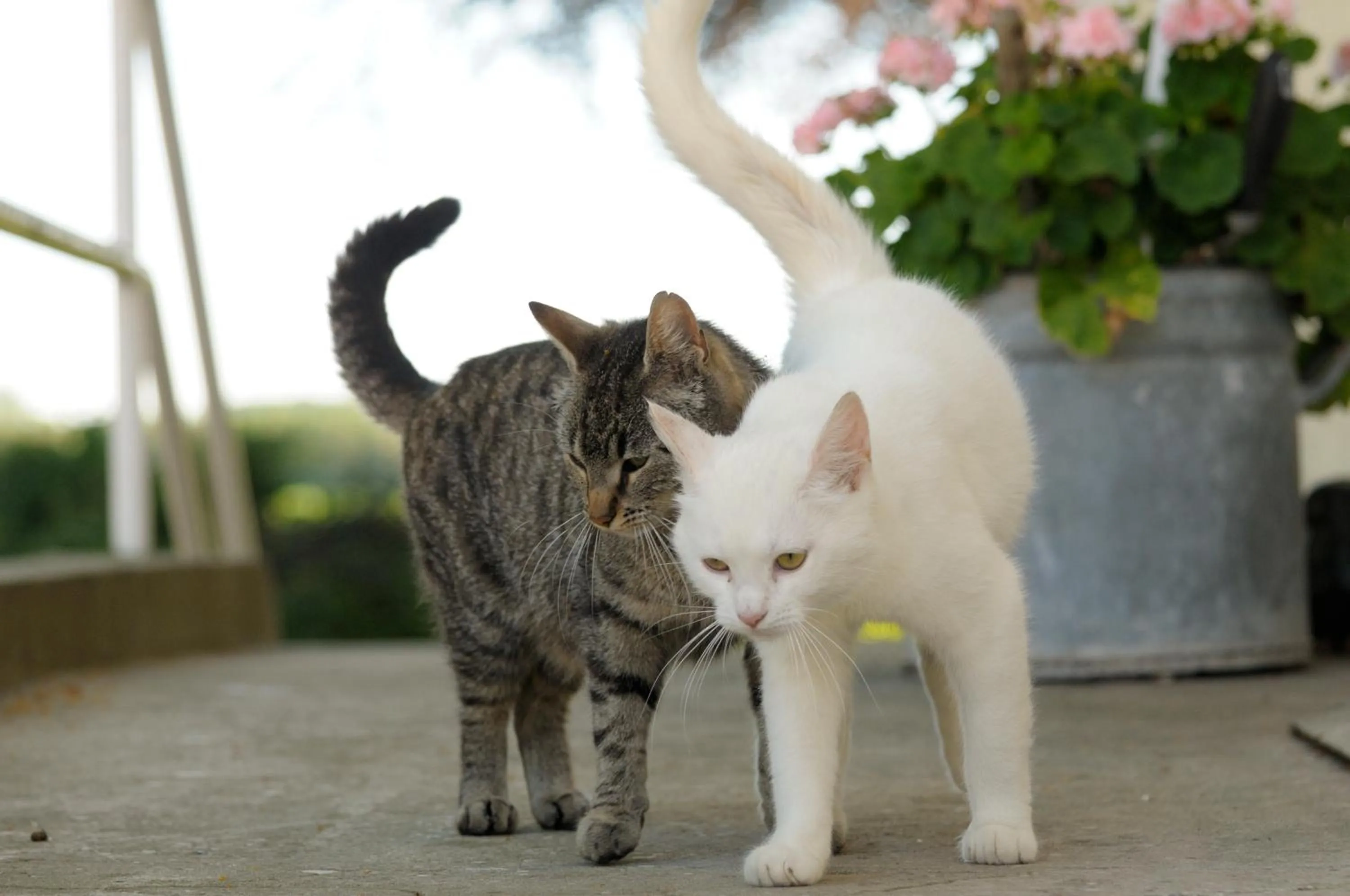Facade/entrance in Tiendegaarden Møns Klint