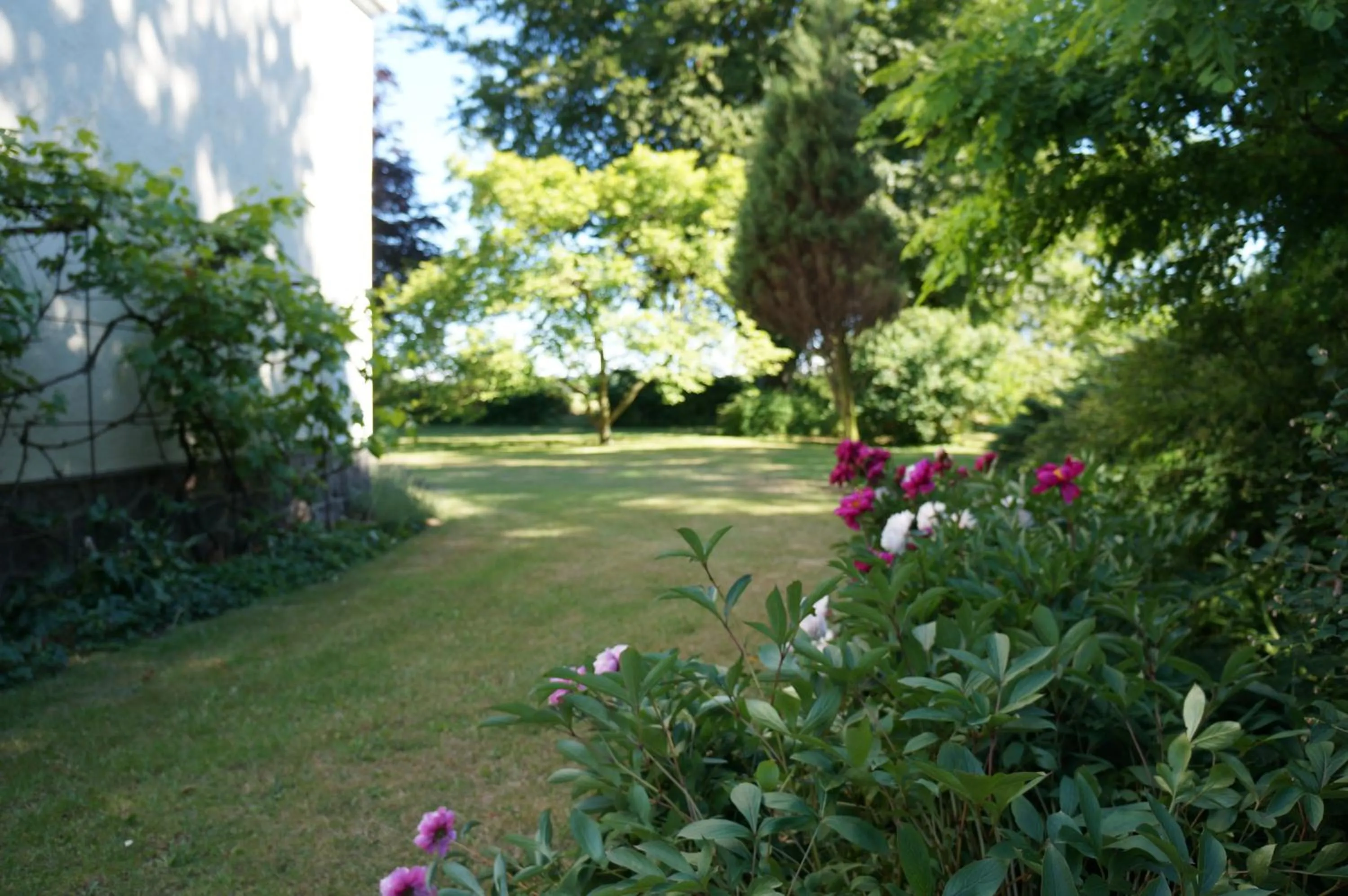 Garden in Tiendegaarden Møns Klint