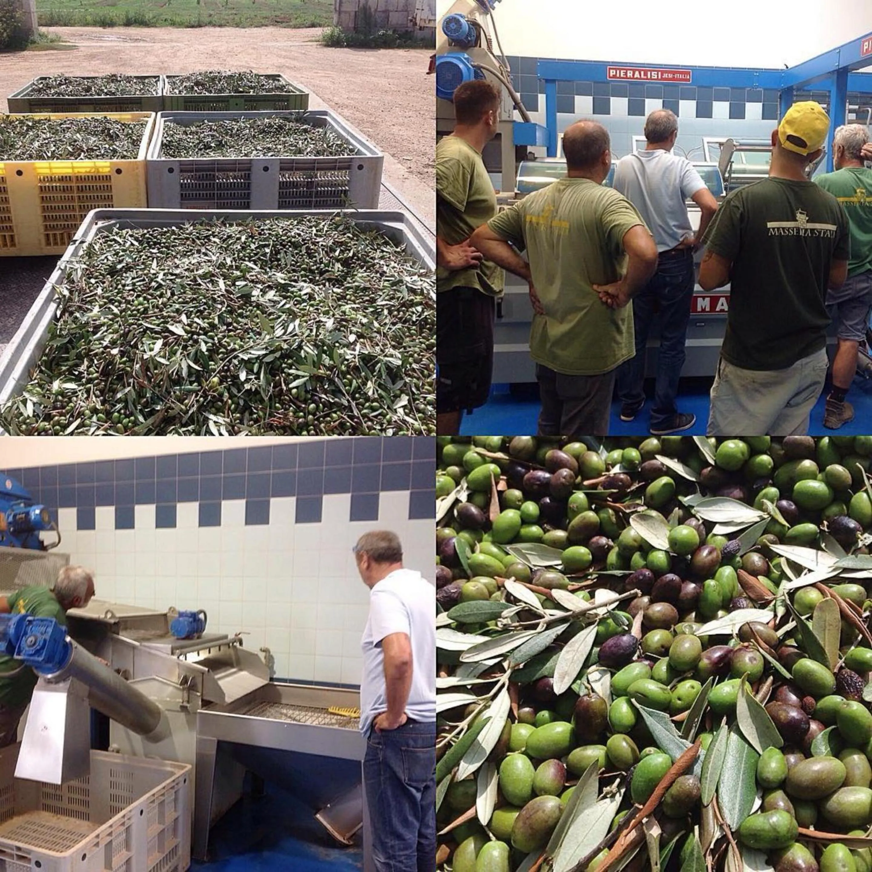 Entertainment in Masseria Stali, The Originals Relais