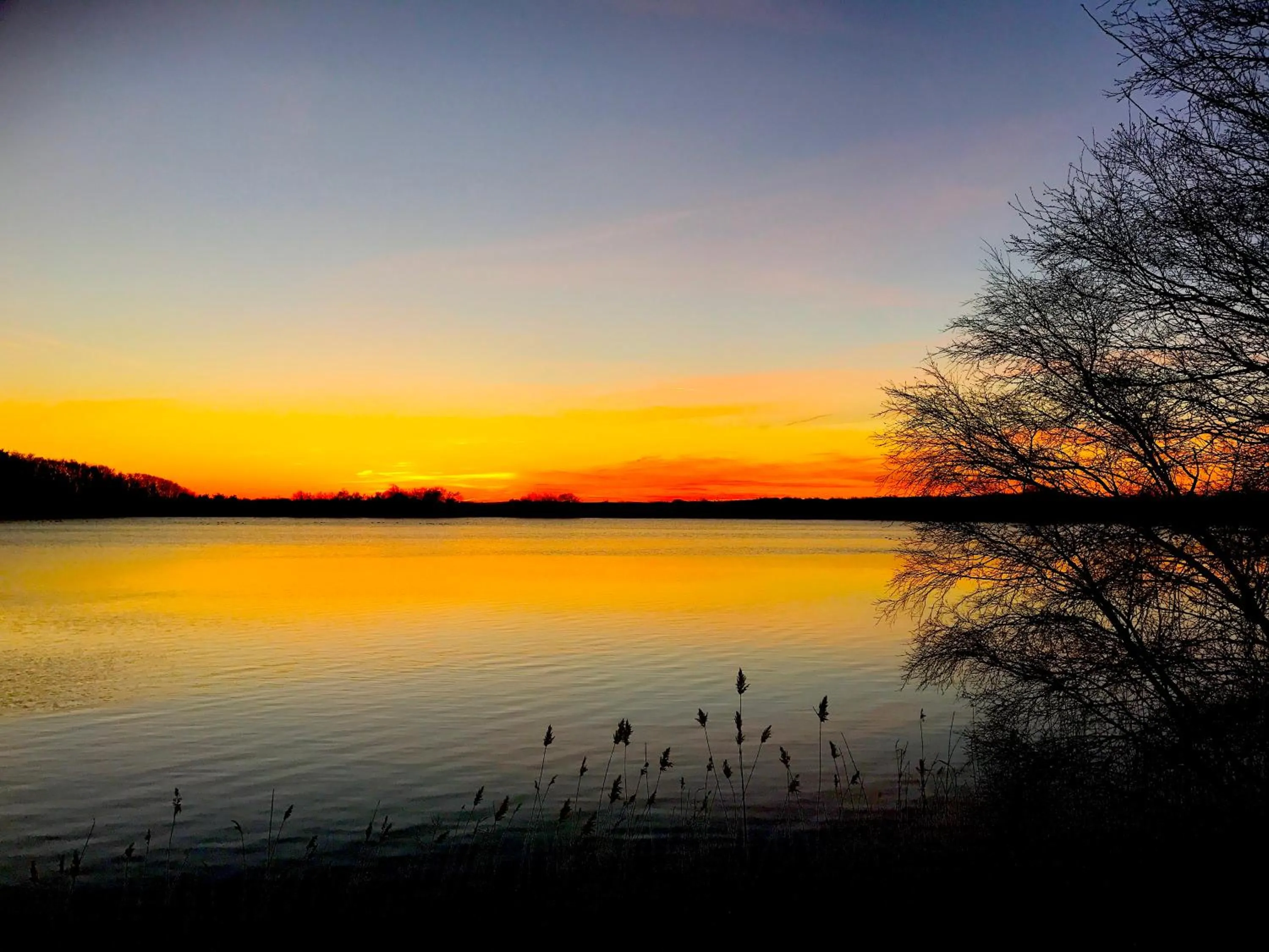 Beach in Hotel Skovly