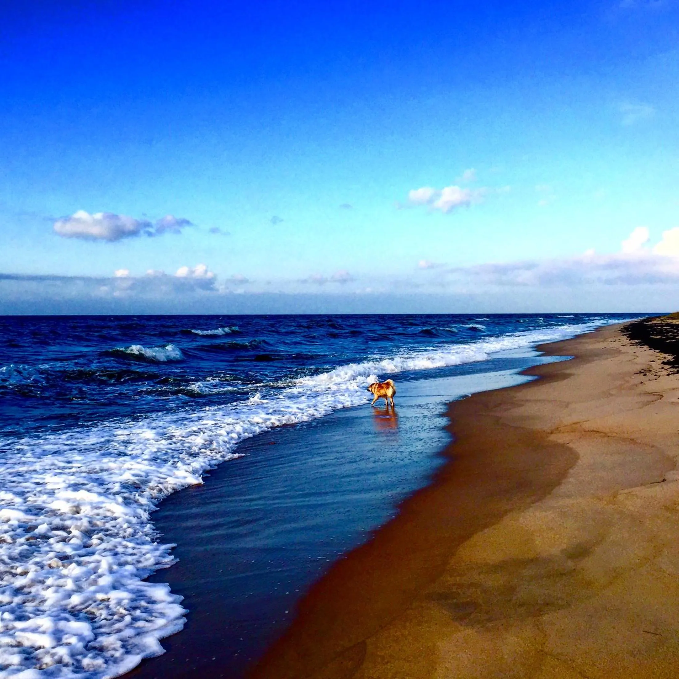 Beach in Hotel Skovly