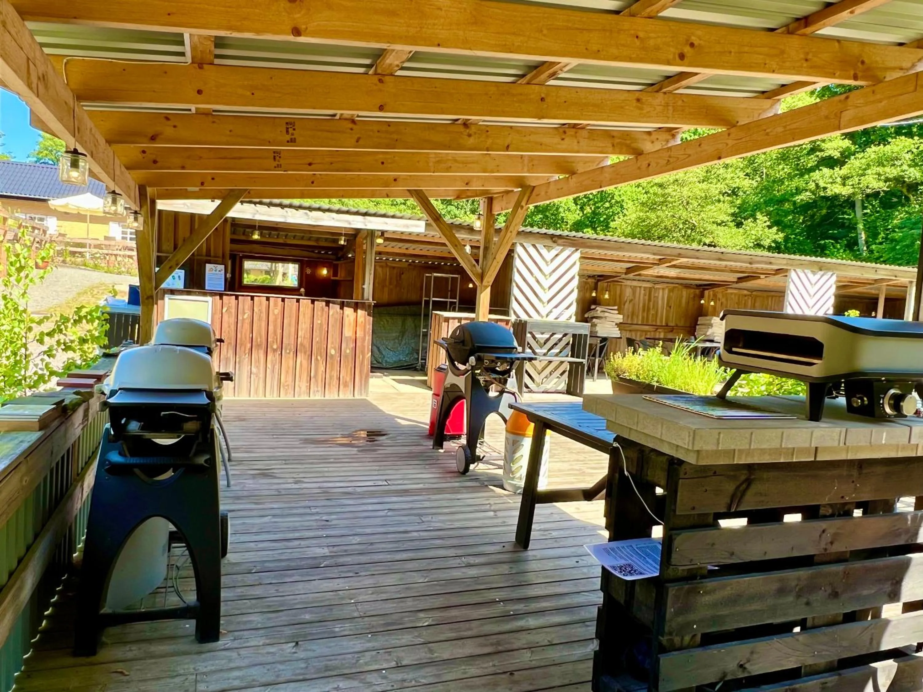 BBQ facilities in Hotel Skovly