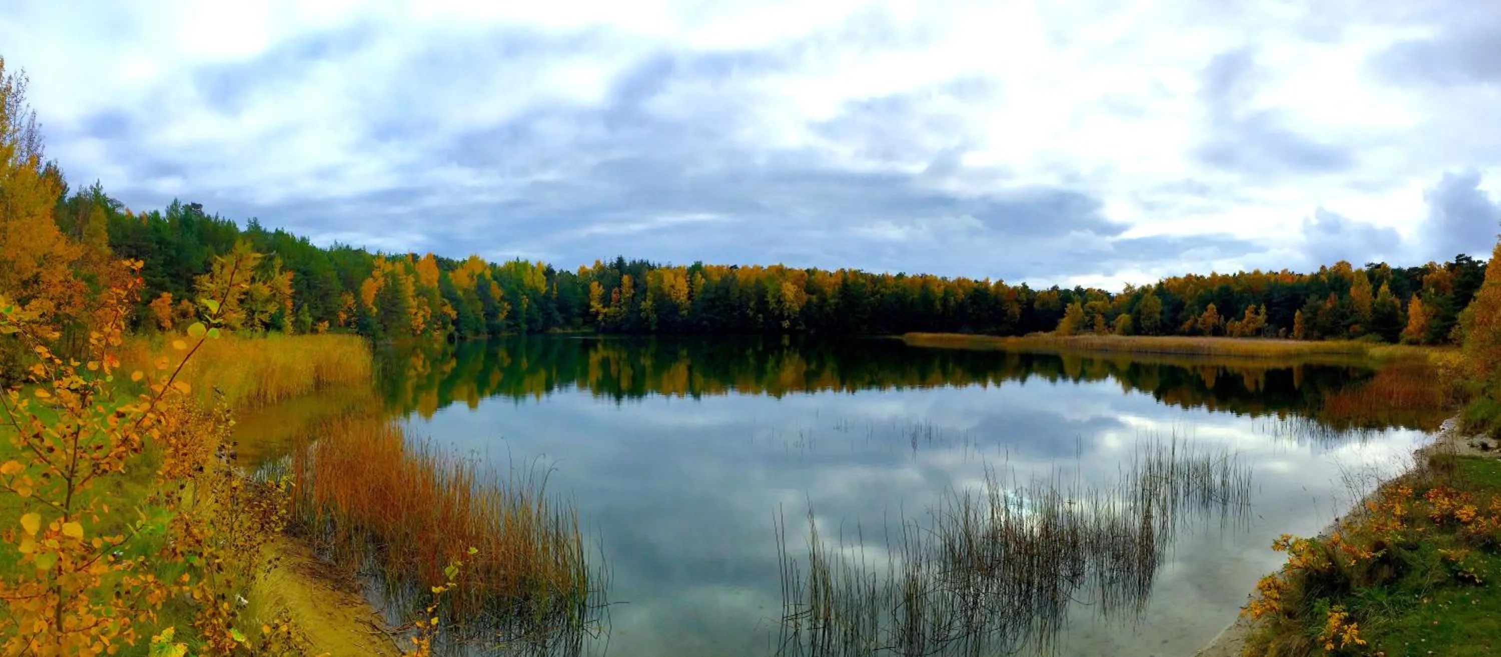 Natural landscape in Hotel Skovly