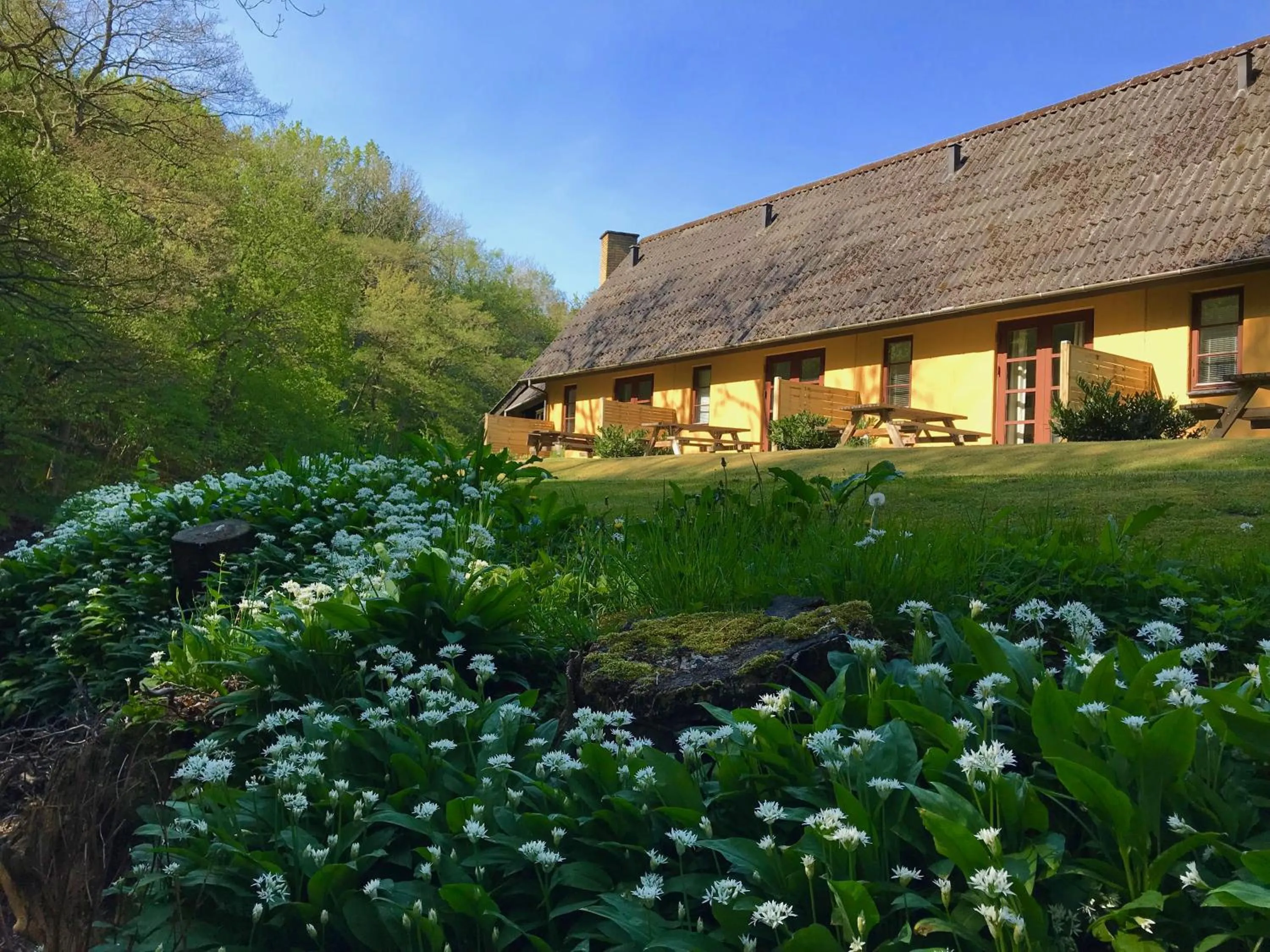 Natural landscape in Hotel Skovly