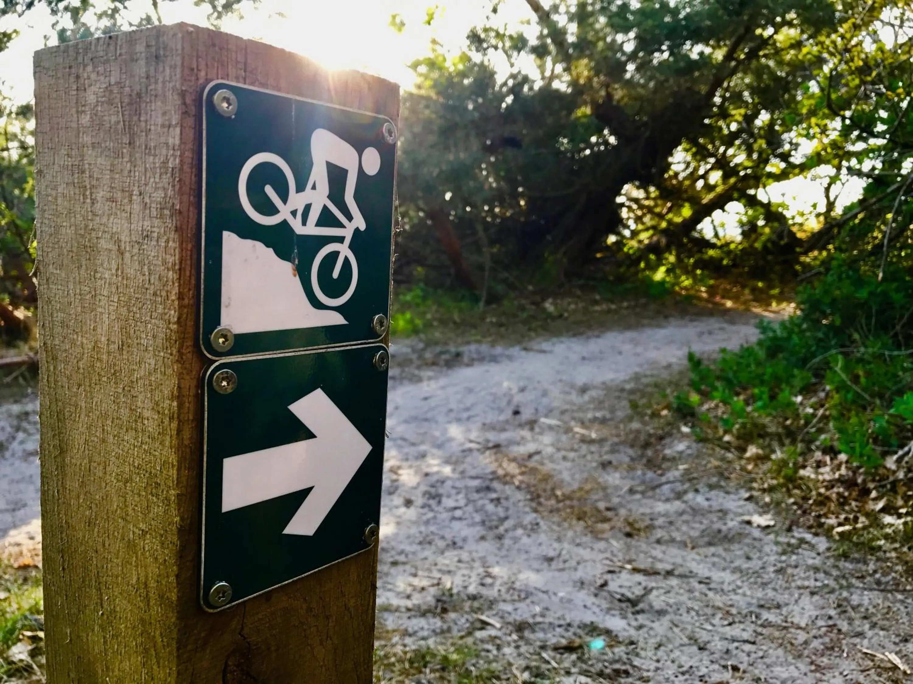 Neighbourhood in Hotel Skovly