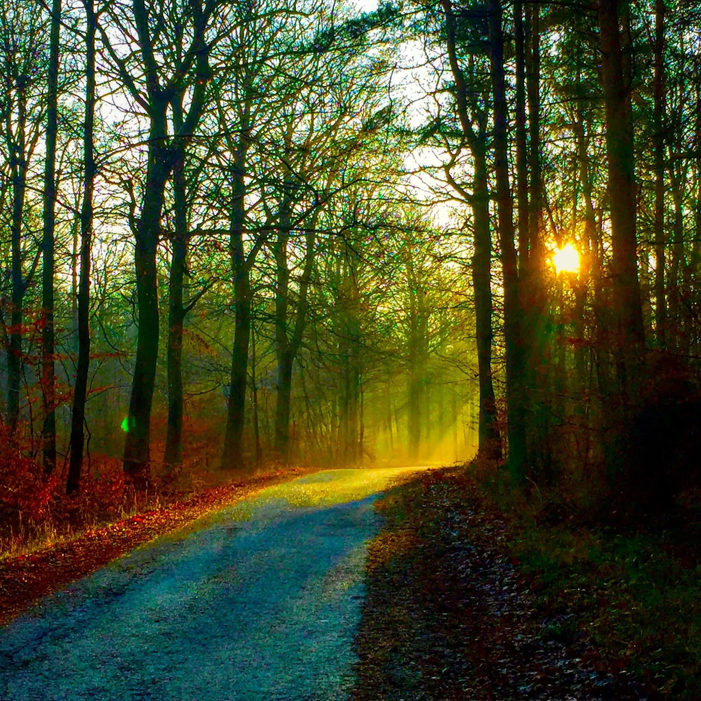 View (from property/room) in Hotel Skovly