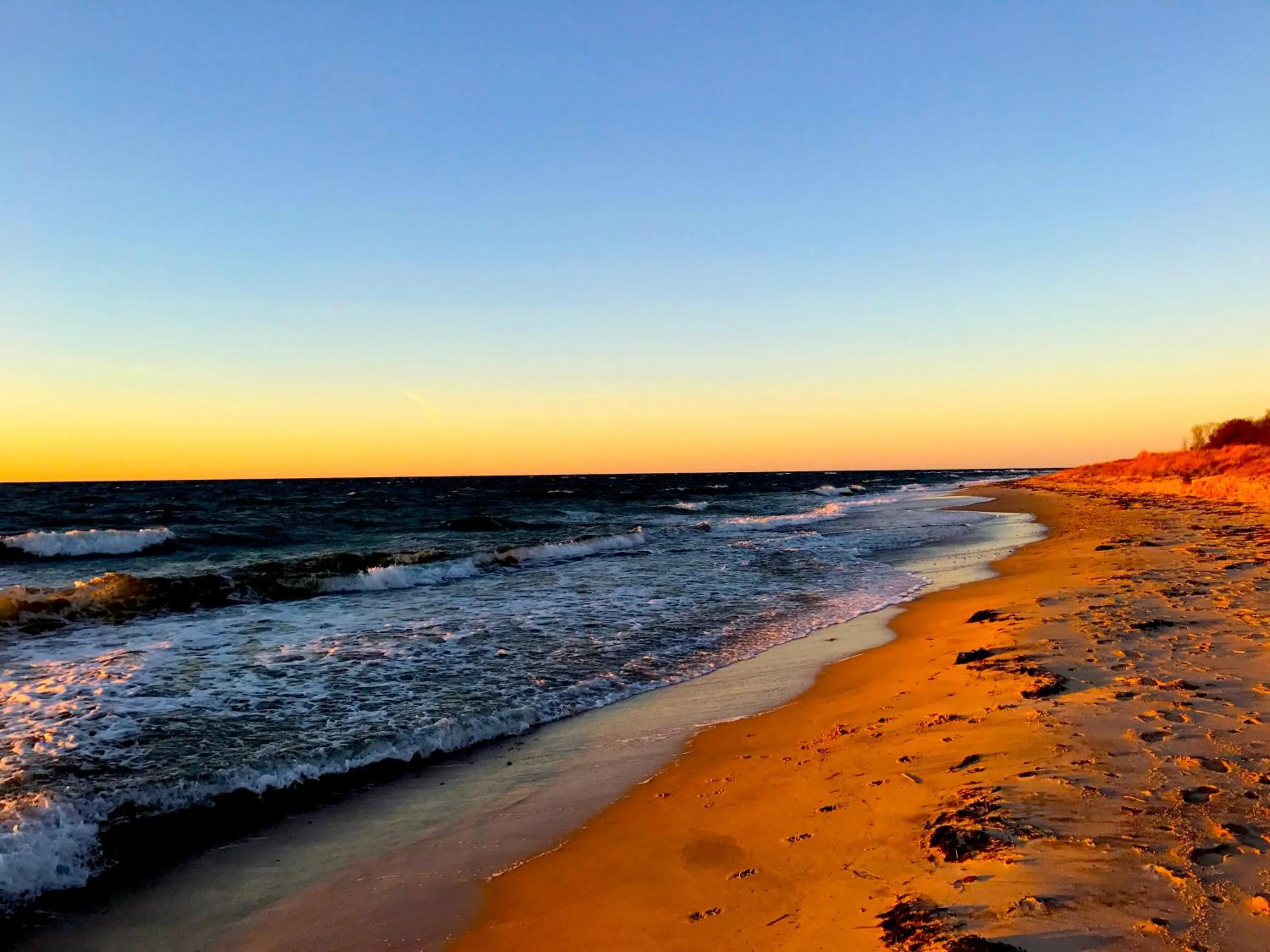 Beach in Hotel Skovly