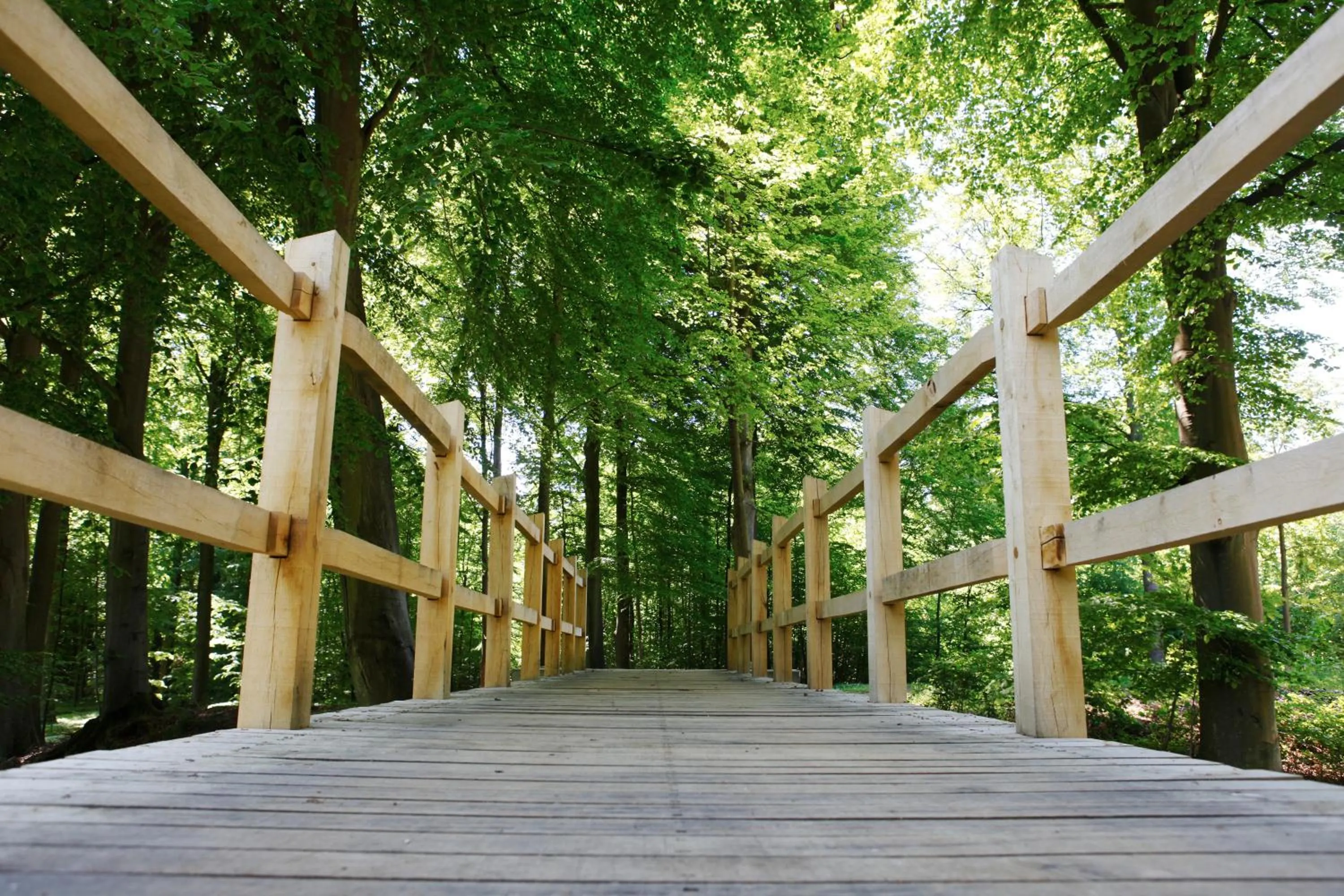 Decorative detail in Hotel Vejlefjord