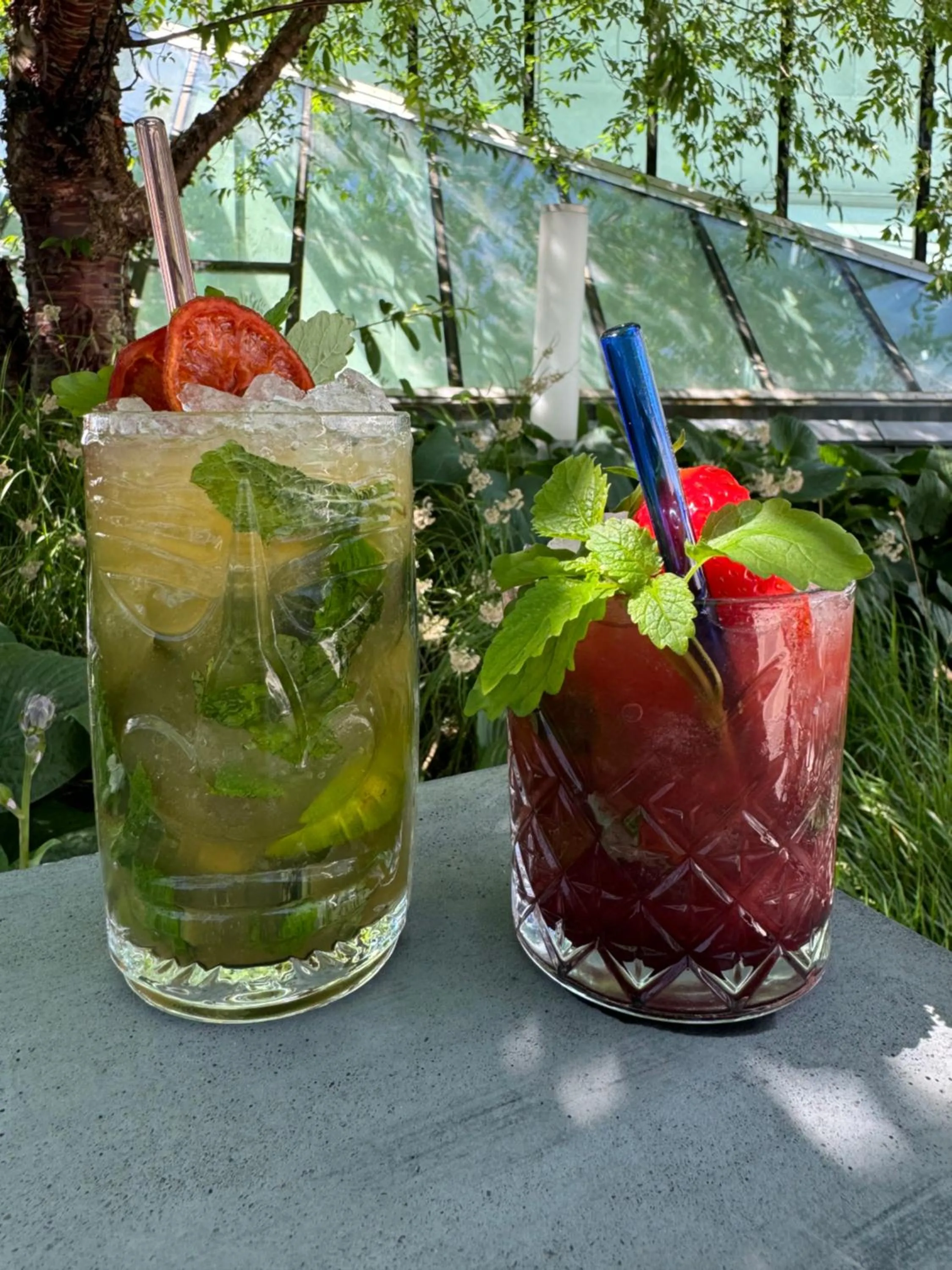 Lounge or bar in Tivoli Hotel