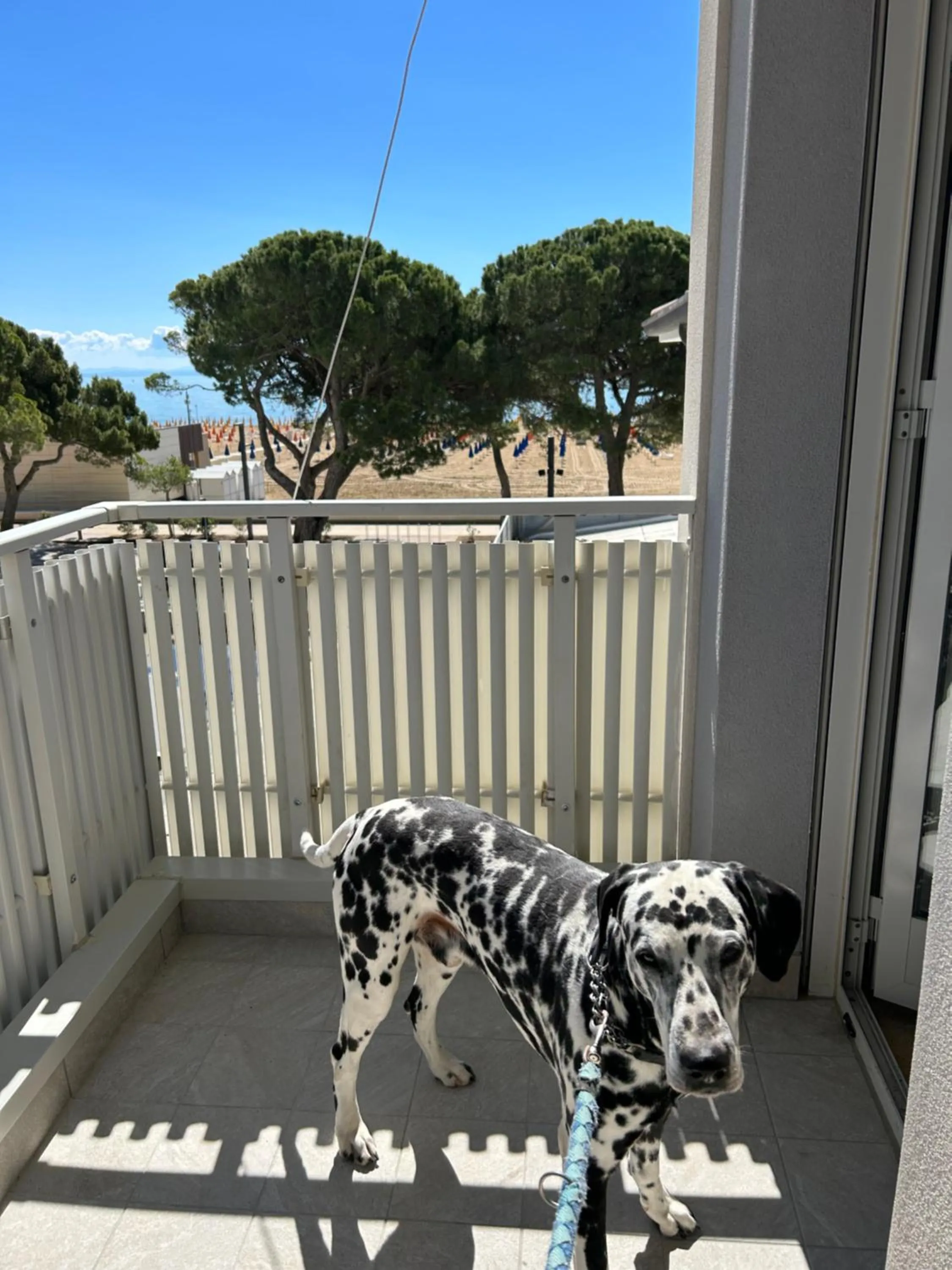 Balcony/Terrace in Hotel Villa Franca