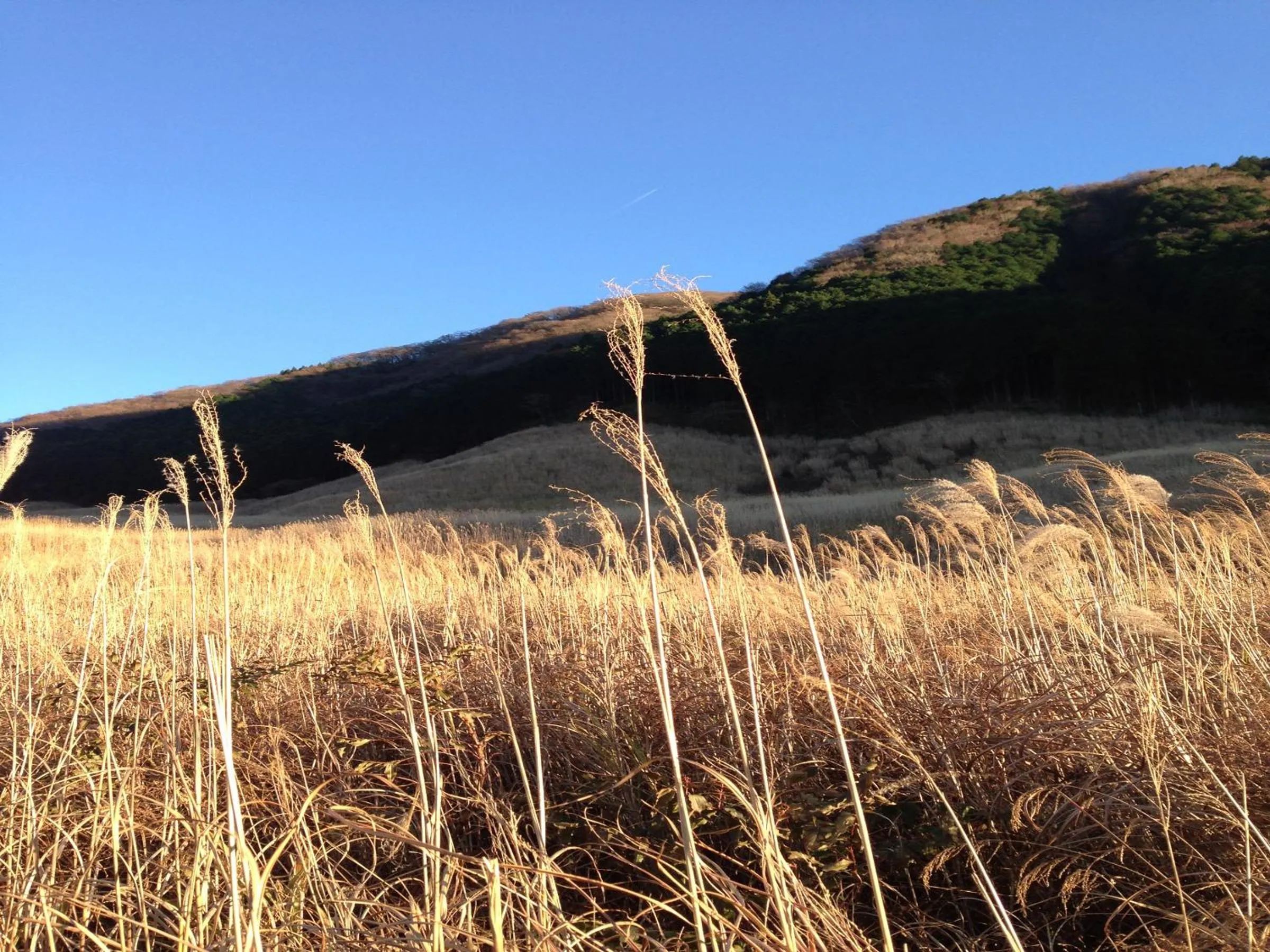 Natural landscape in Fukushimakan