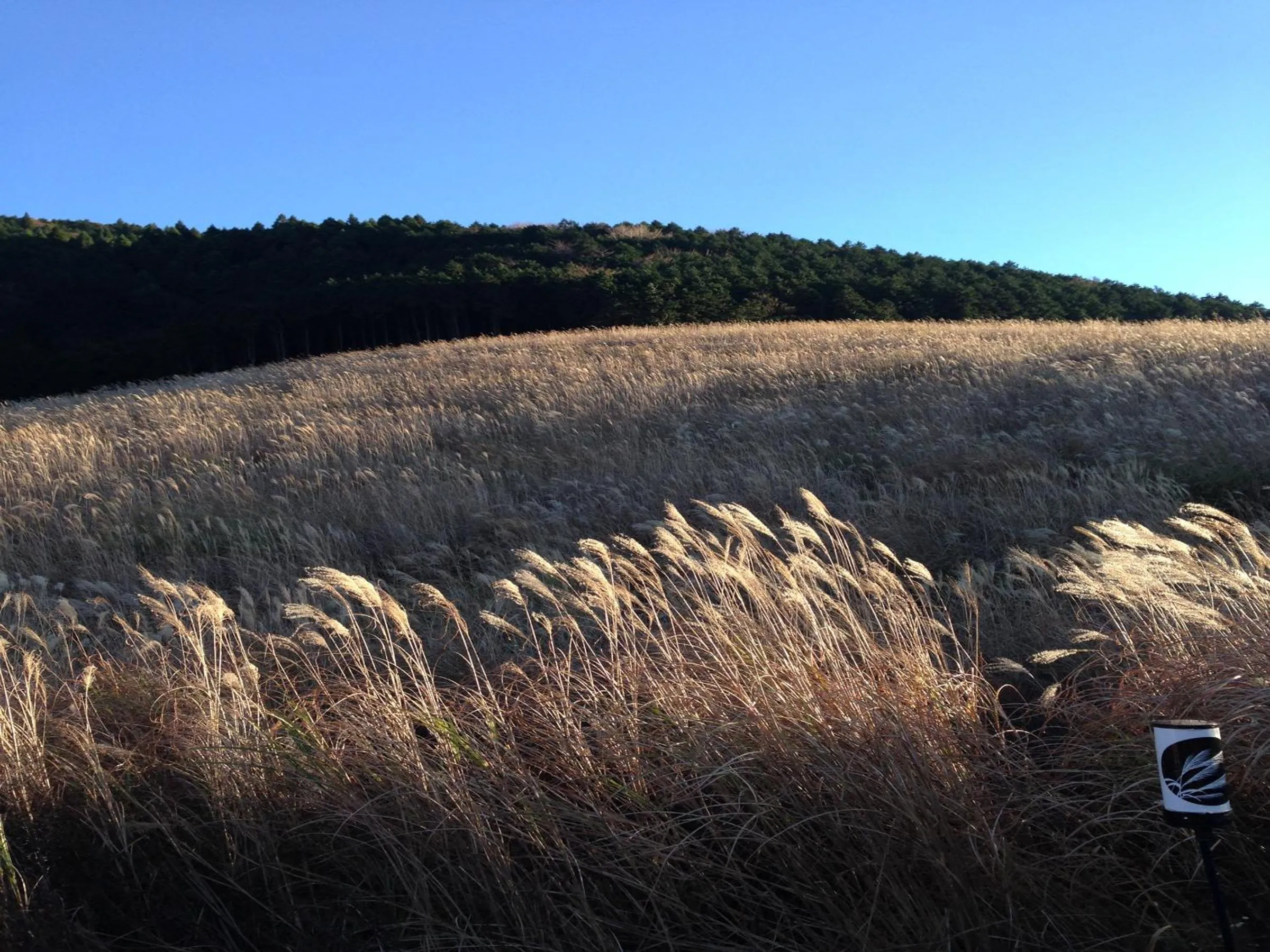 Natural landscape in Fukushimakan