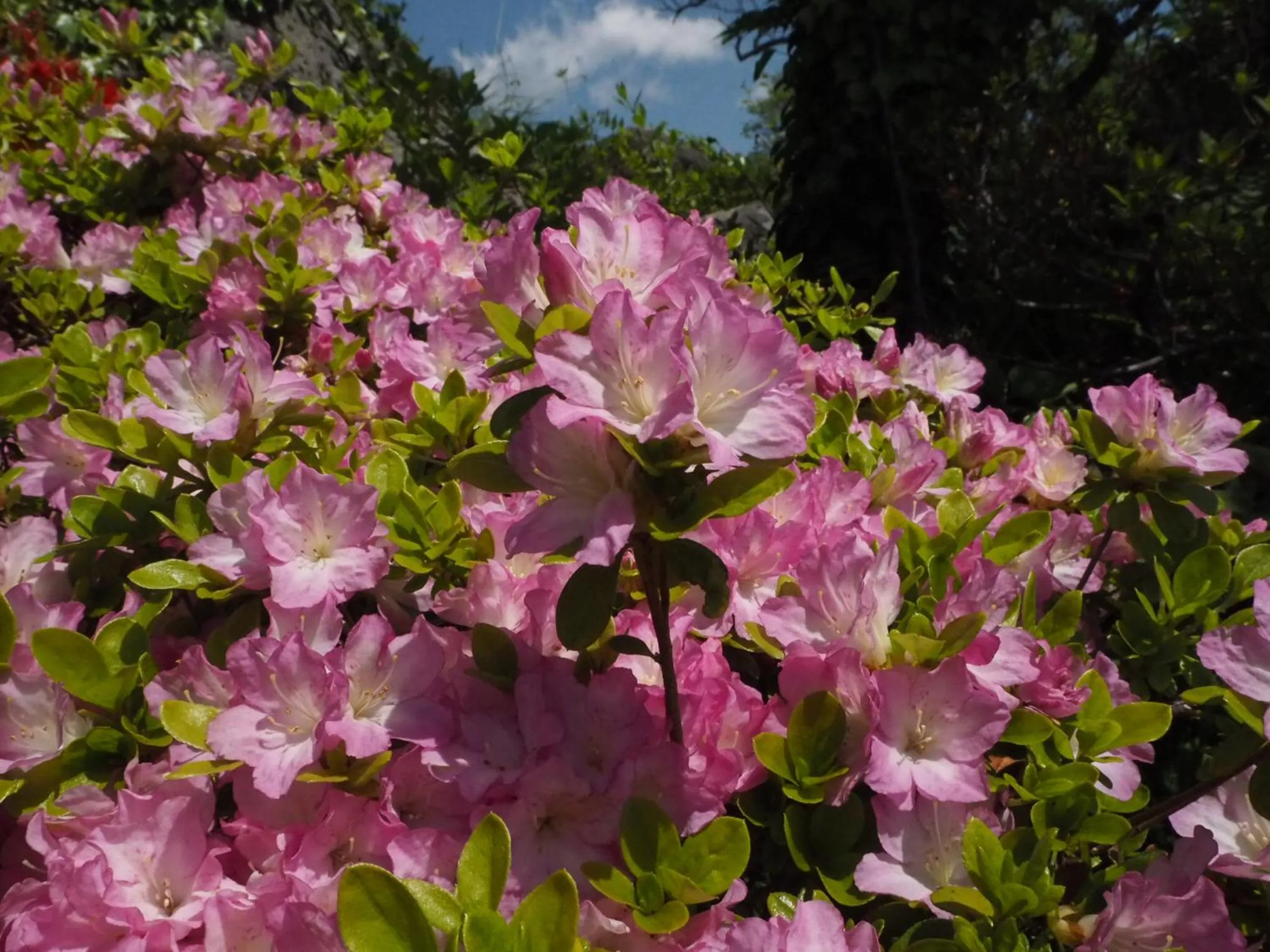 Nearby landmark in Fukushimakan