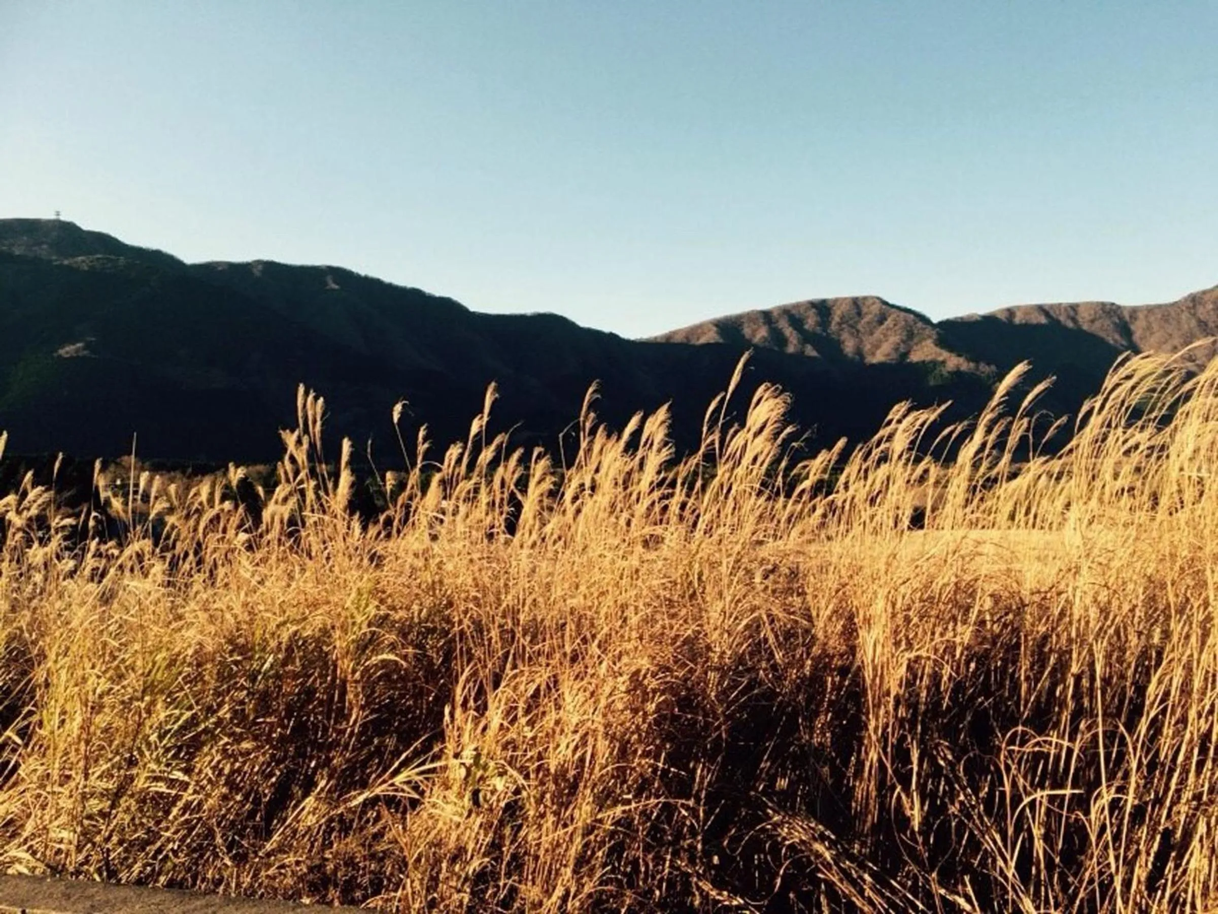 Natural landscape in Fukushimakan