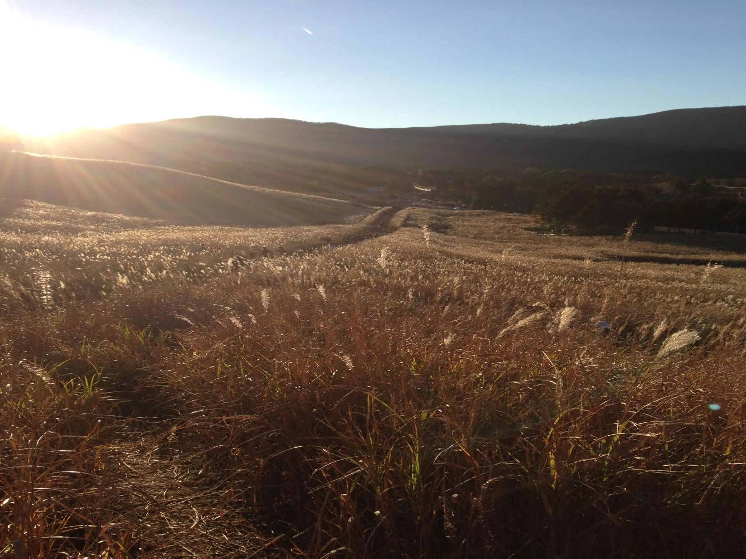 Natural landscape in Fukushimakan