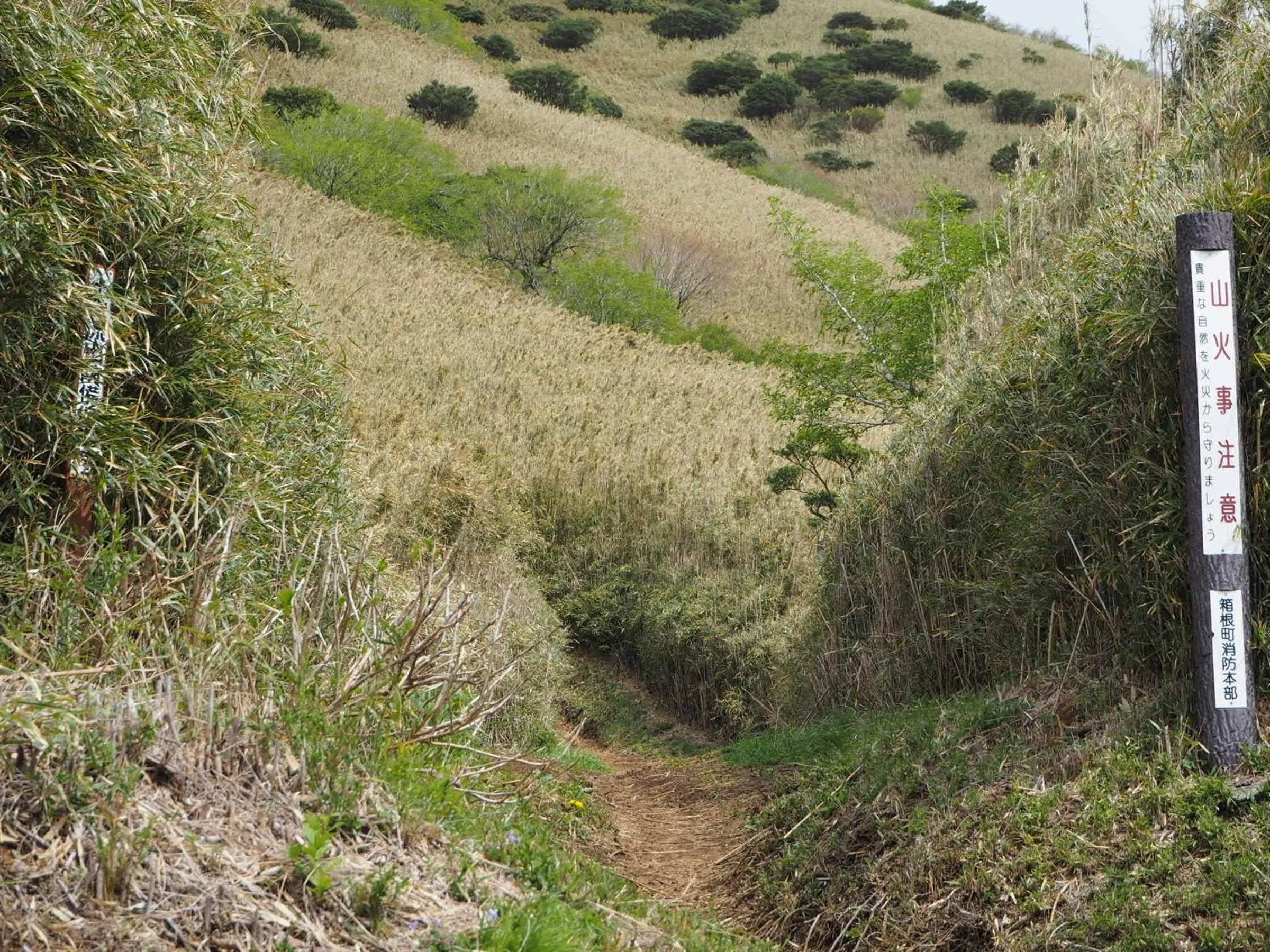 Nearby landmark in Fukushimakan