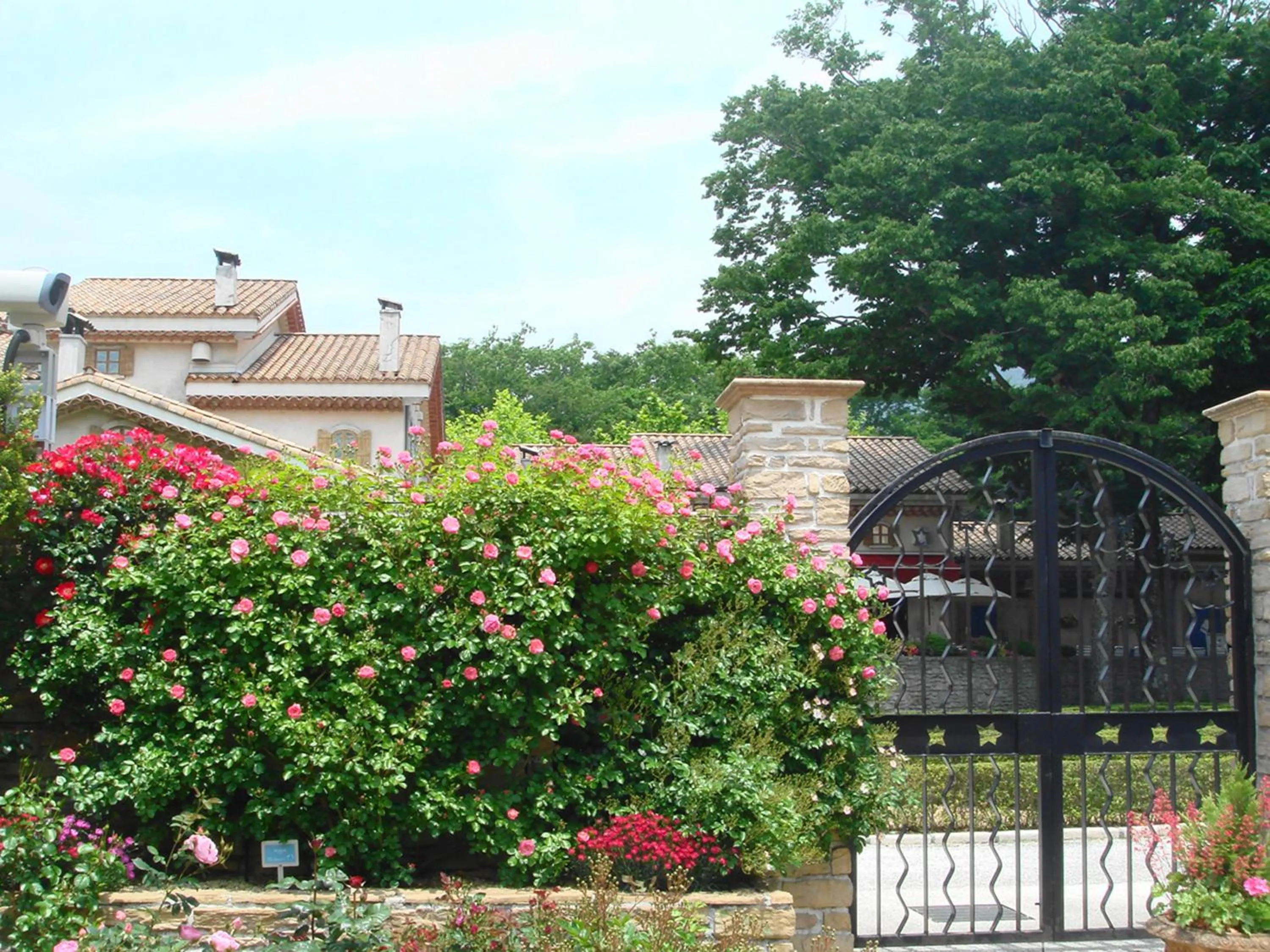 Other in Fukushimakan