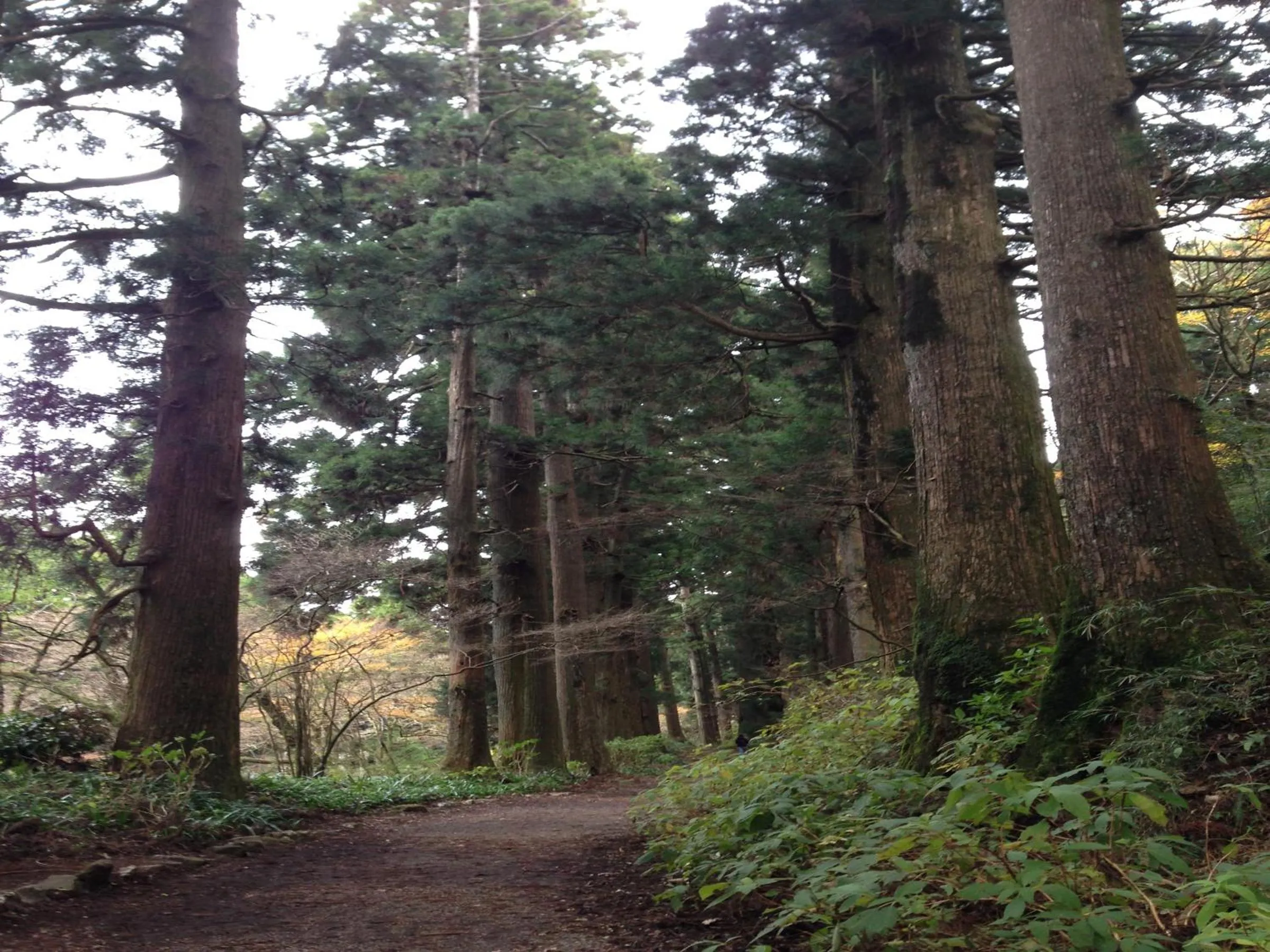 Nearby landmark in Fukushimakan