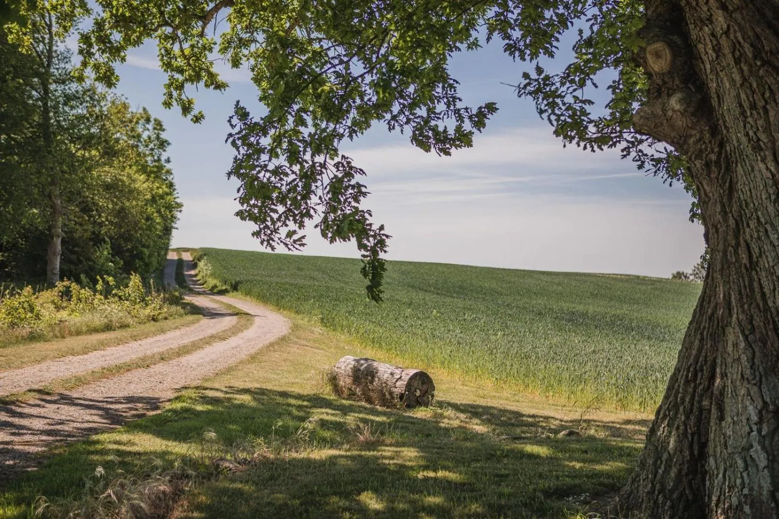 Natural landscape in Sonnerupgaard Hotel & Konference