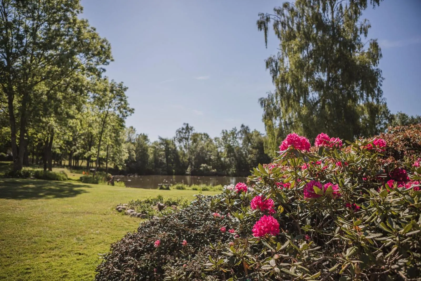 Summer in Sonnerupgaard Hotel & Konference