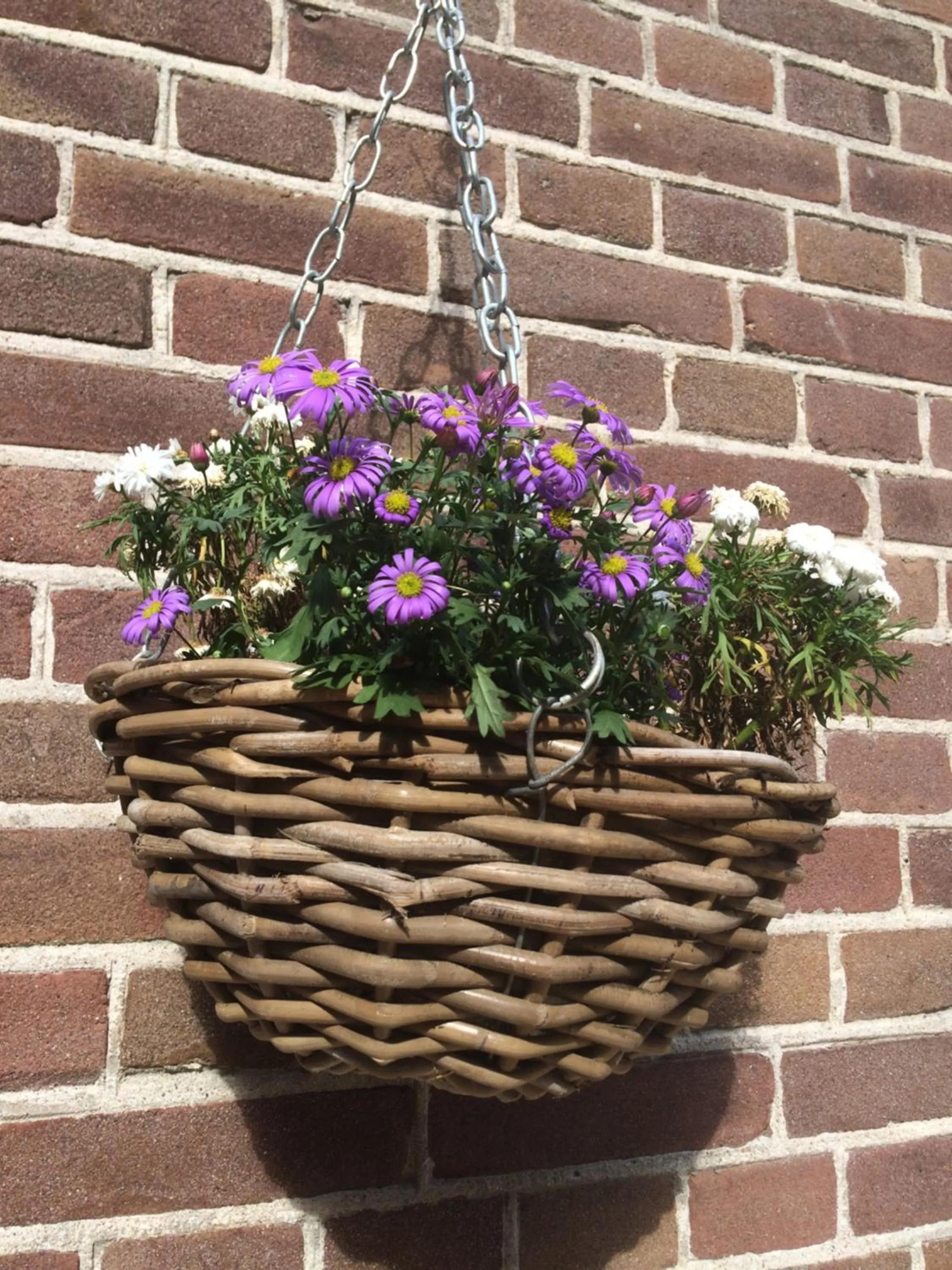 Other in Proeverij de Azijnmakerij