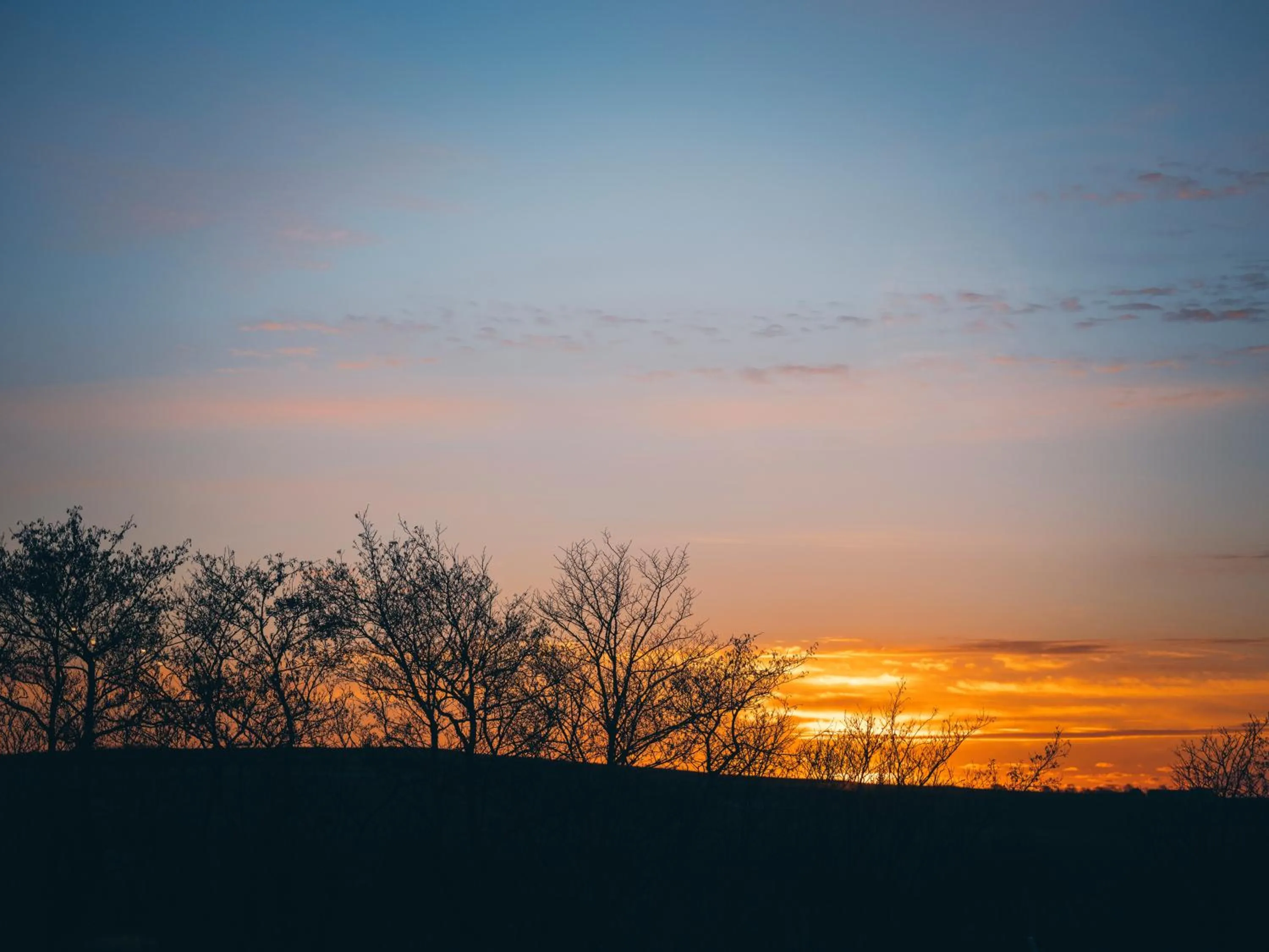 Natural landscape in HotelVFjorden