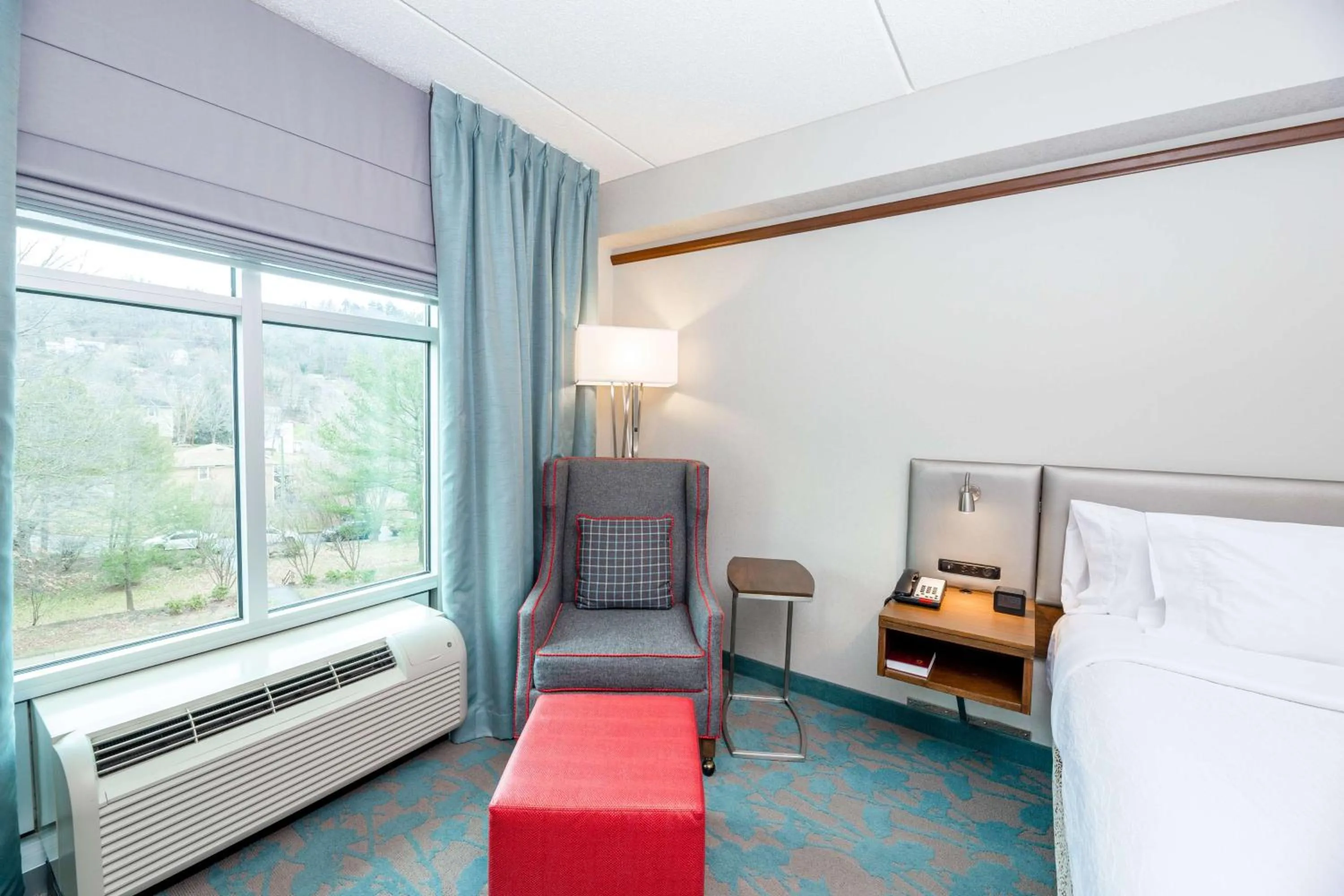 Living room, Bed in Hilton Garden Inn Asheville Downtown