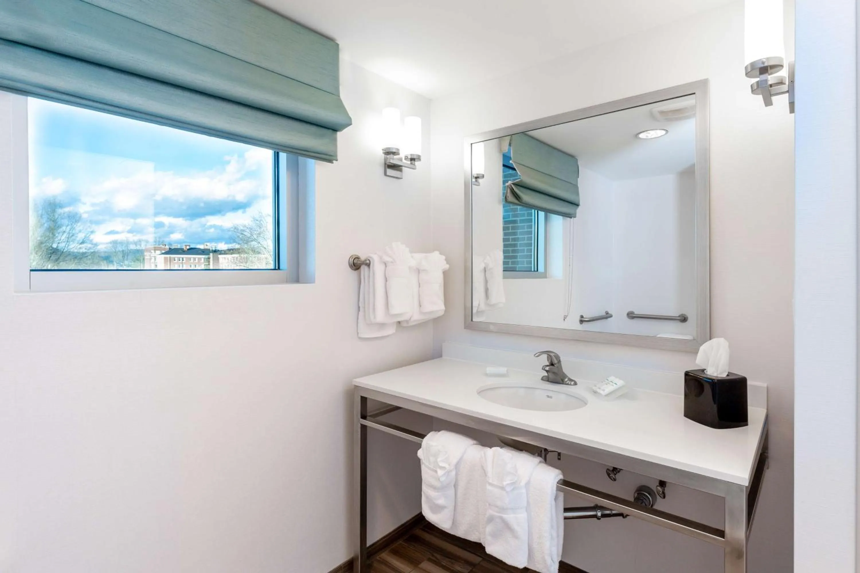 Bathroom in Hilton Garden Inn Asheville Downtown