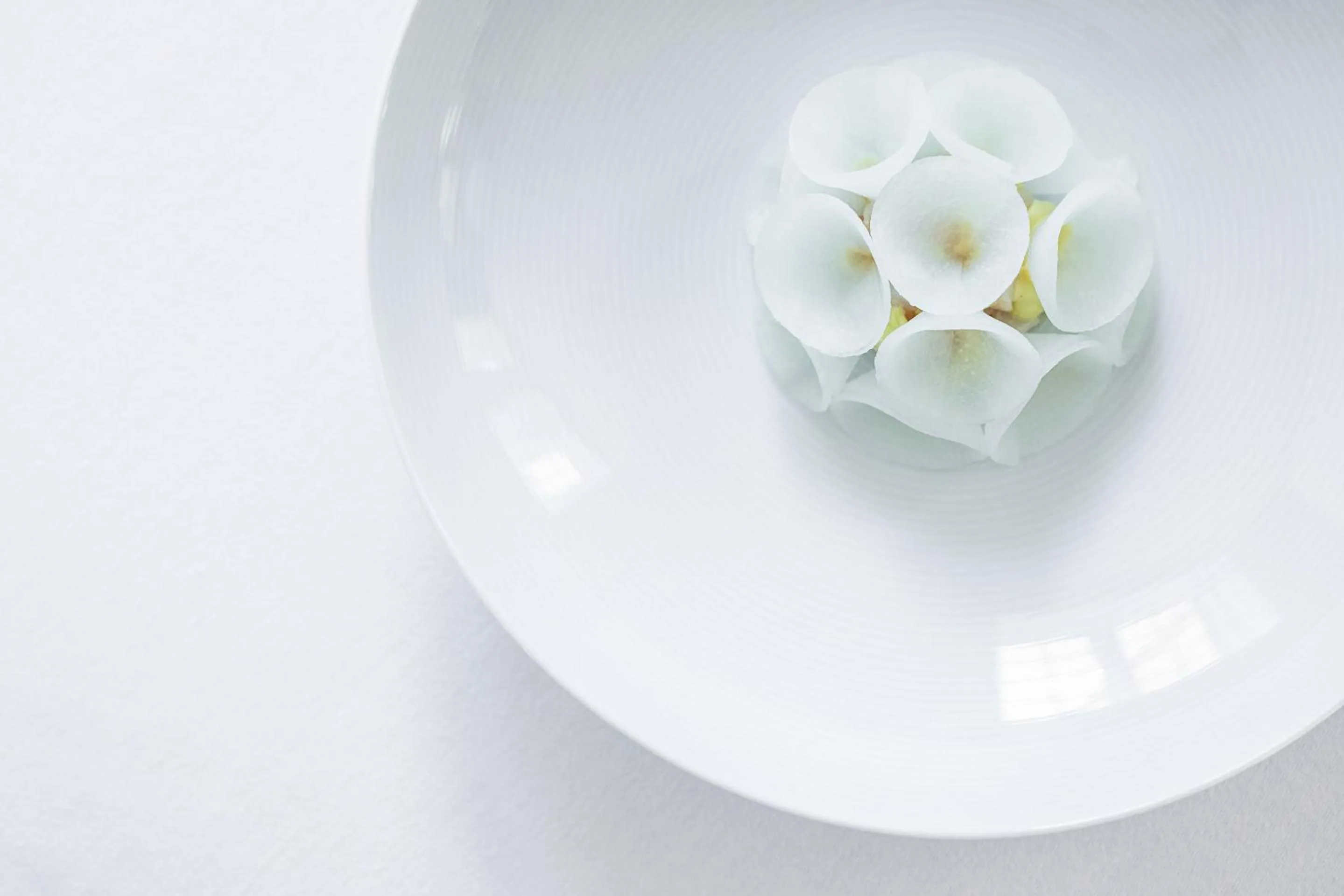 Restaurant/places to eat in Nørre Vosborg Hotel & Gastronomi