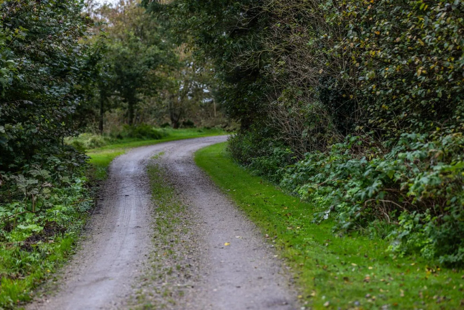 Off site in Nørre Vosborg Hotel & Gastronomi