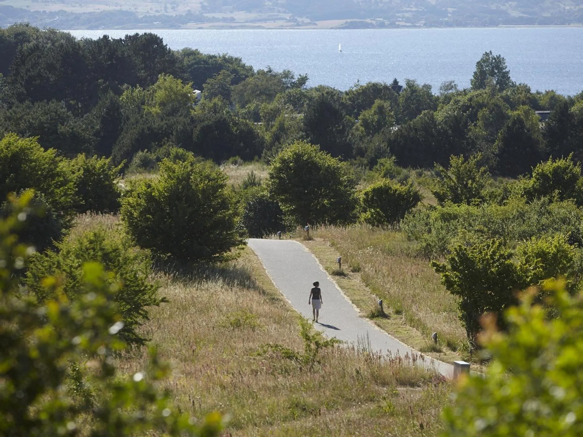 Area and facilities in Hotel Toppen af Ebeltoft