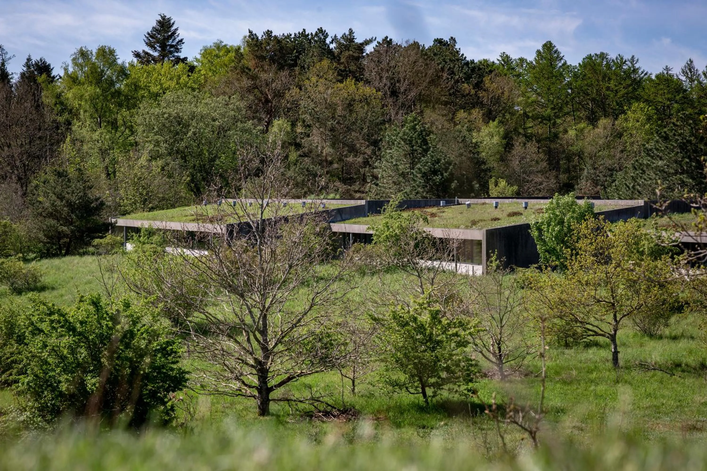 Natural landscape in Hotel Toppen af Ebeltoft