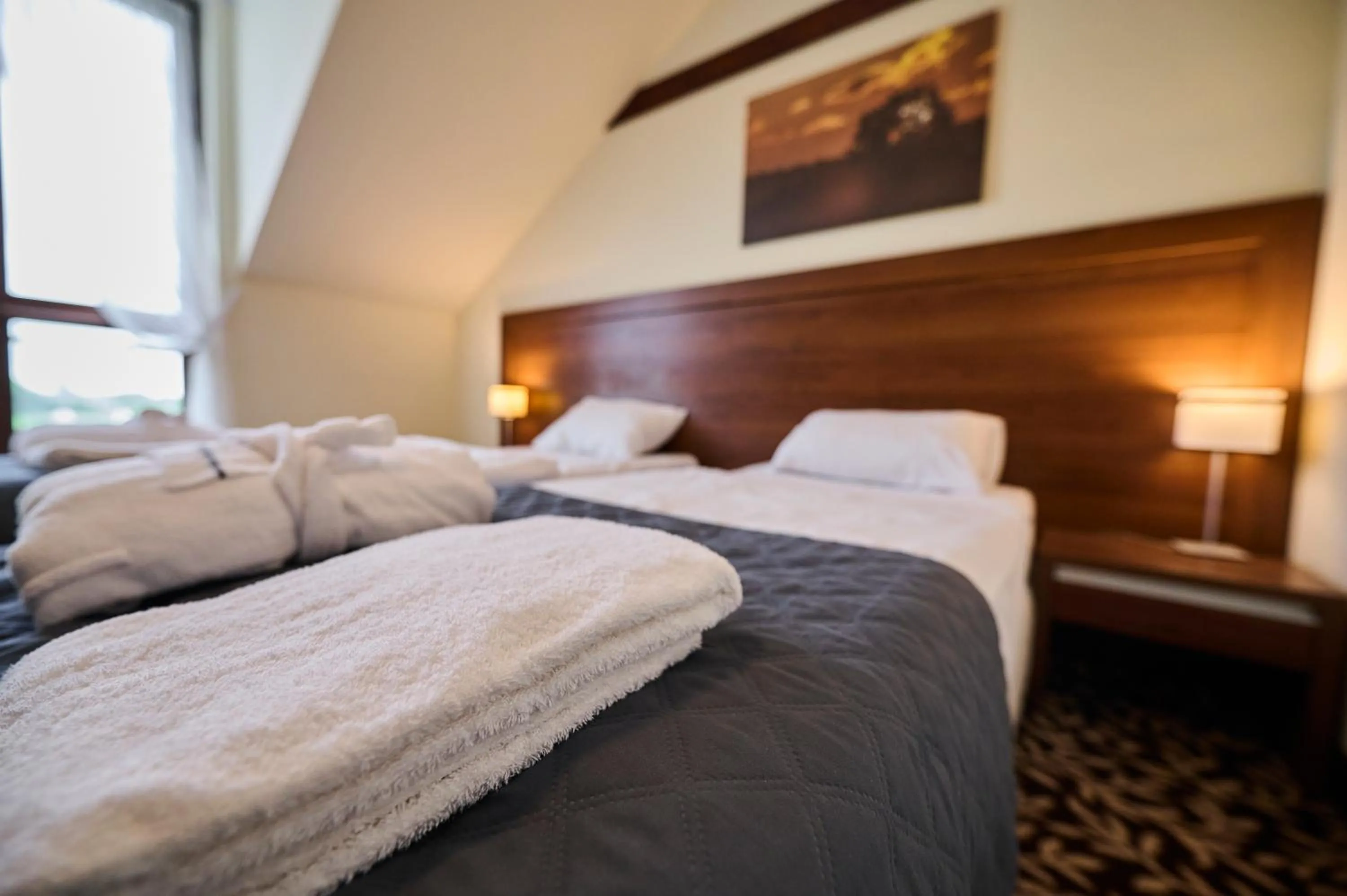 Bed in Hotel i Aquapark Olender