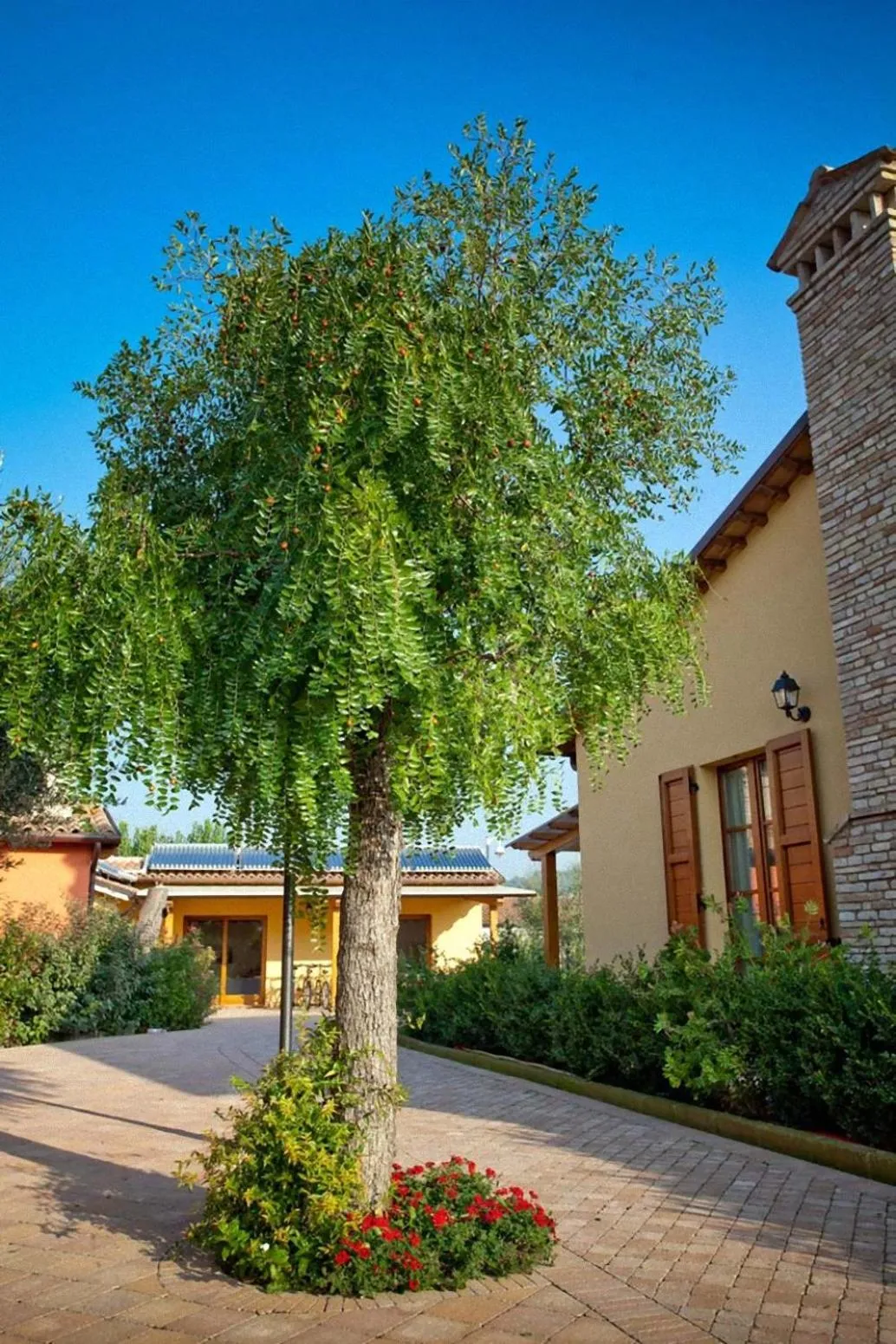 Restaurant/places to eat in Valle del Metauro Country House