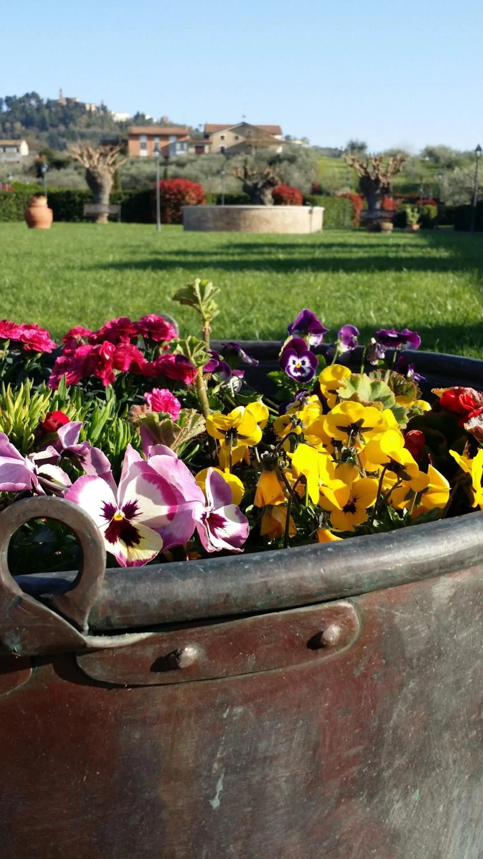 Property building in Valle del Metauro Country House