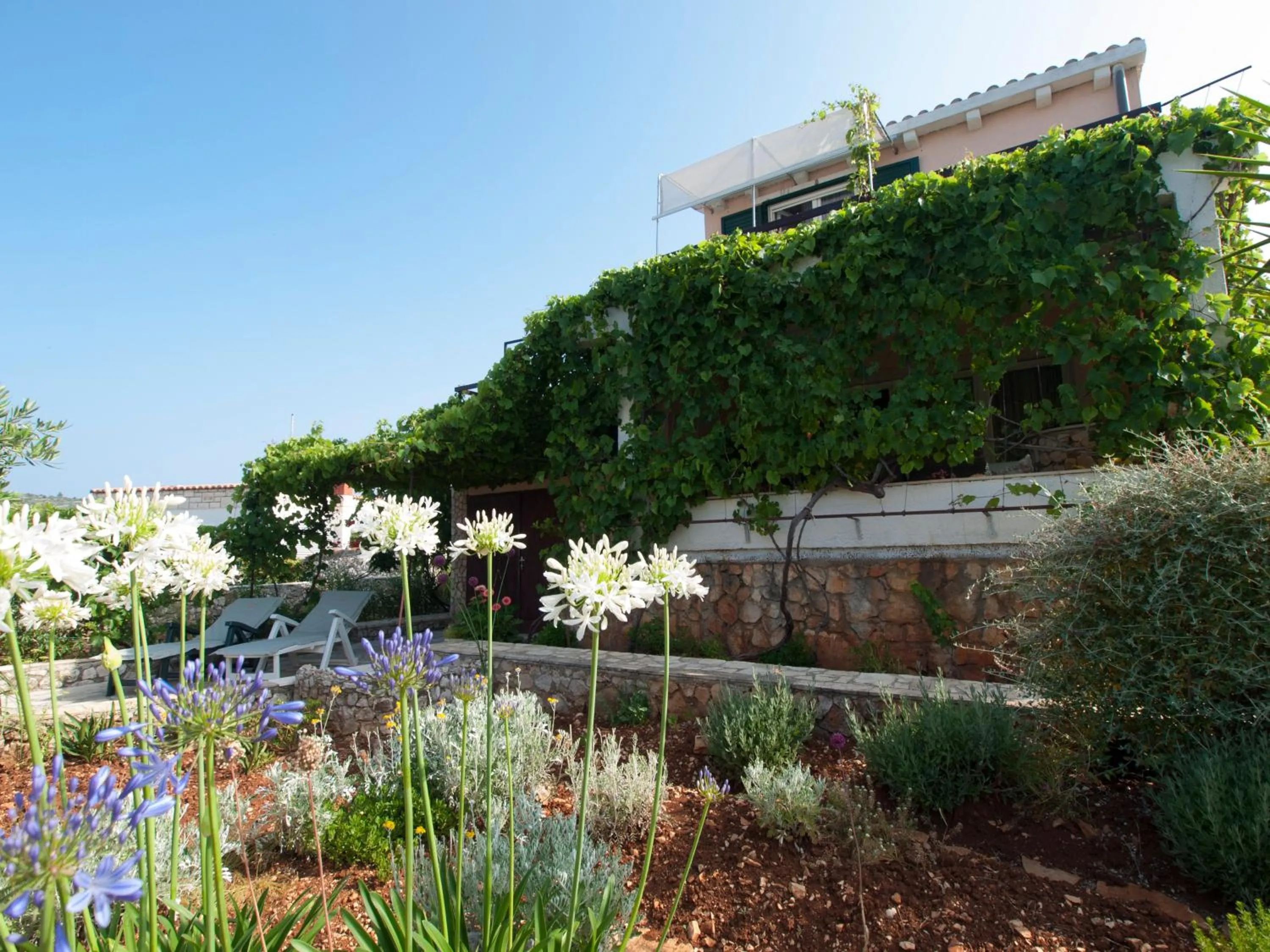Garden in Villa Perla