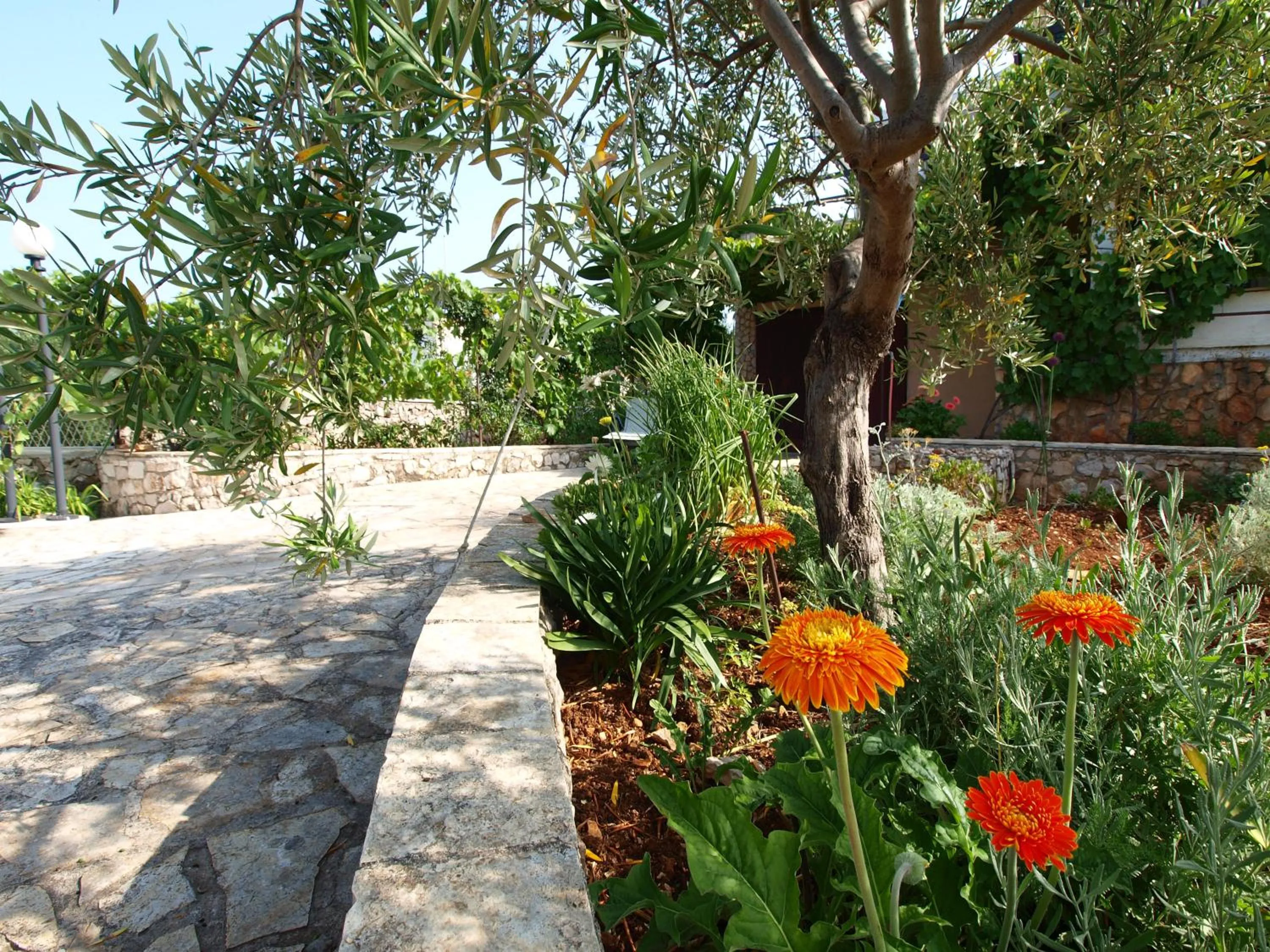 Garden in Villa Perla